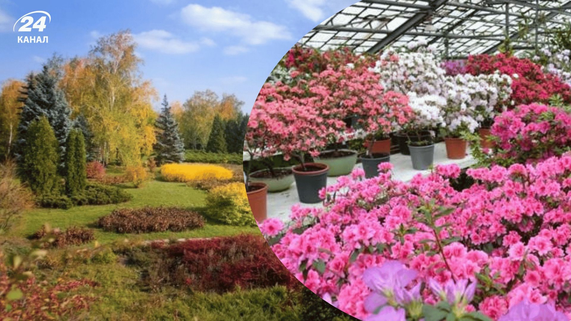 Ботанический сад Ботанический сад