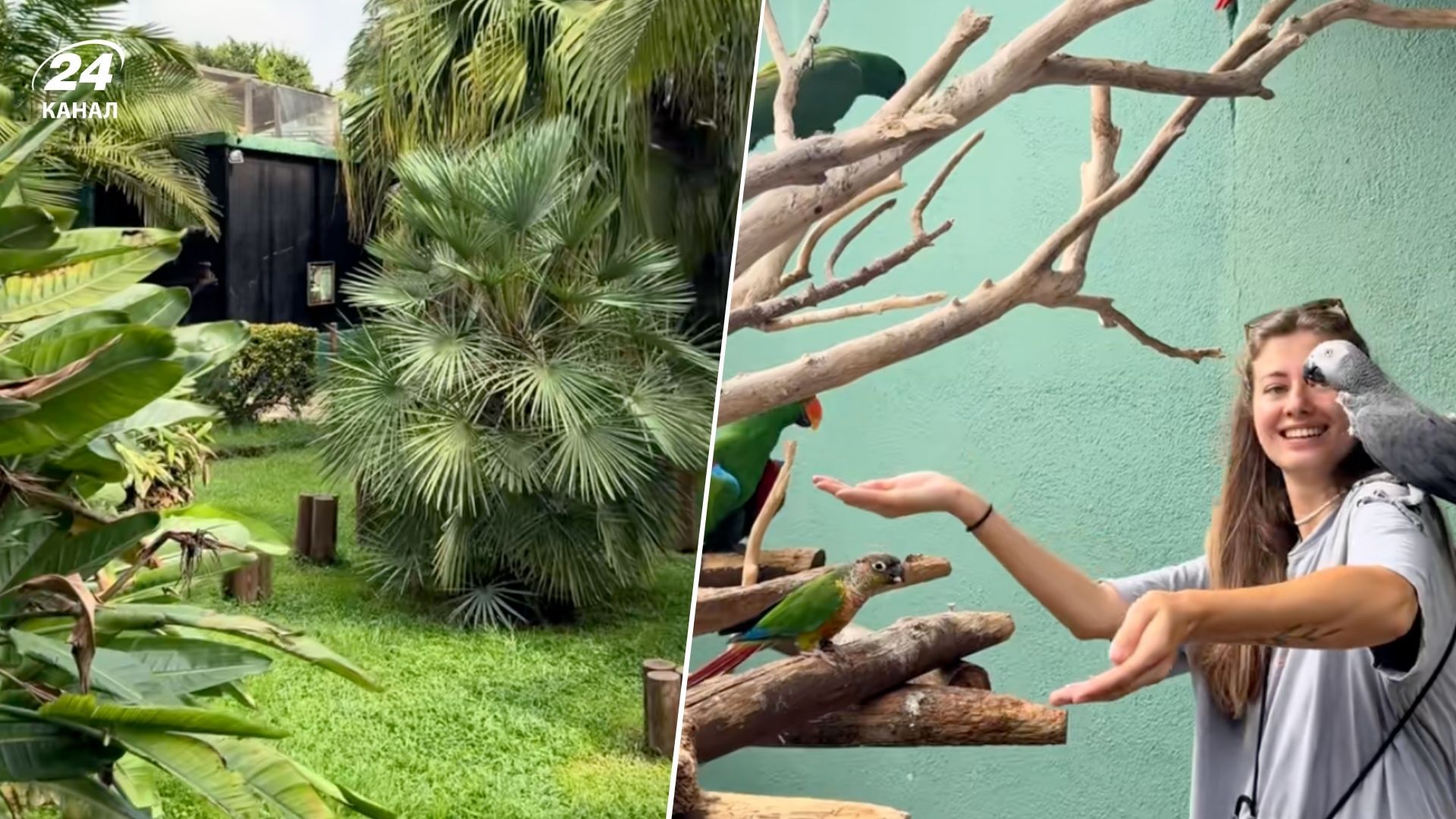 Де в Іспанії можна побачити справжні джунглі, лемурів і кенгуру Де в Іспанії можна побачити справжні джунглі, лемурів і кенгуру