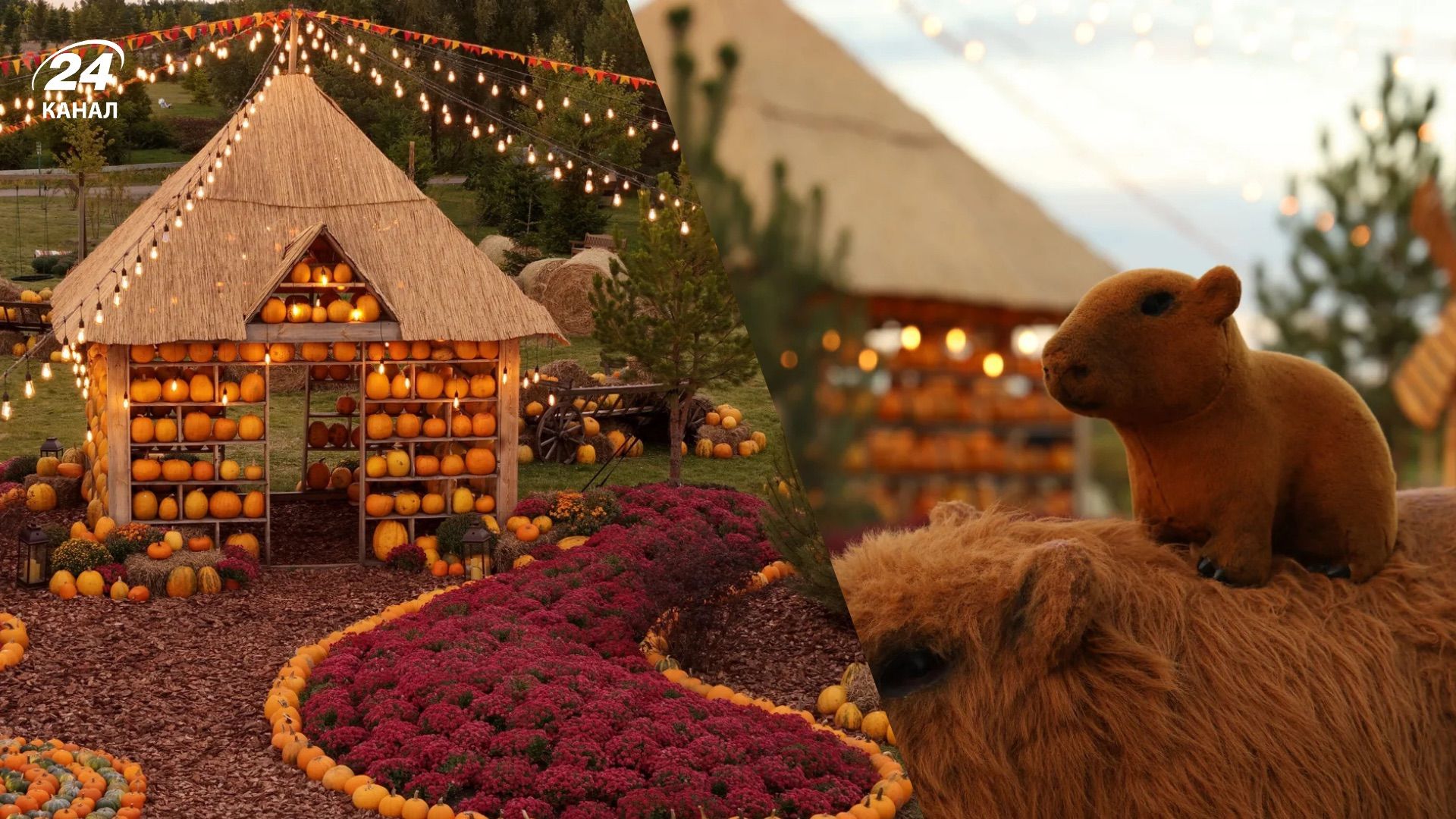 Добропарк, Киевская область