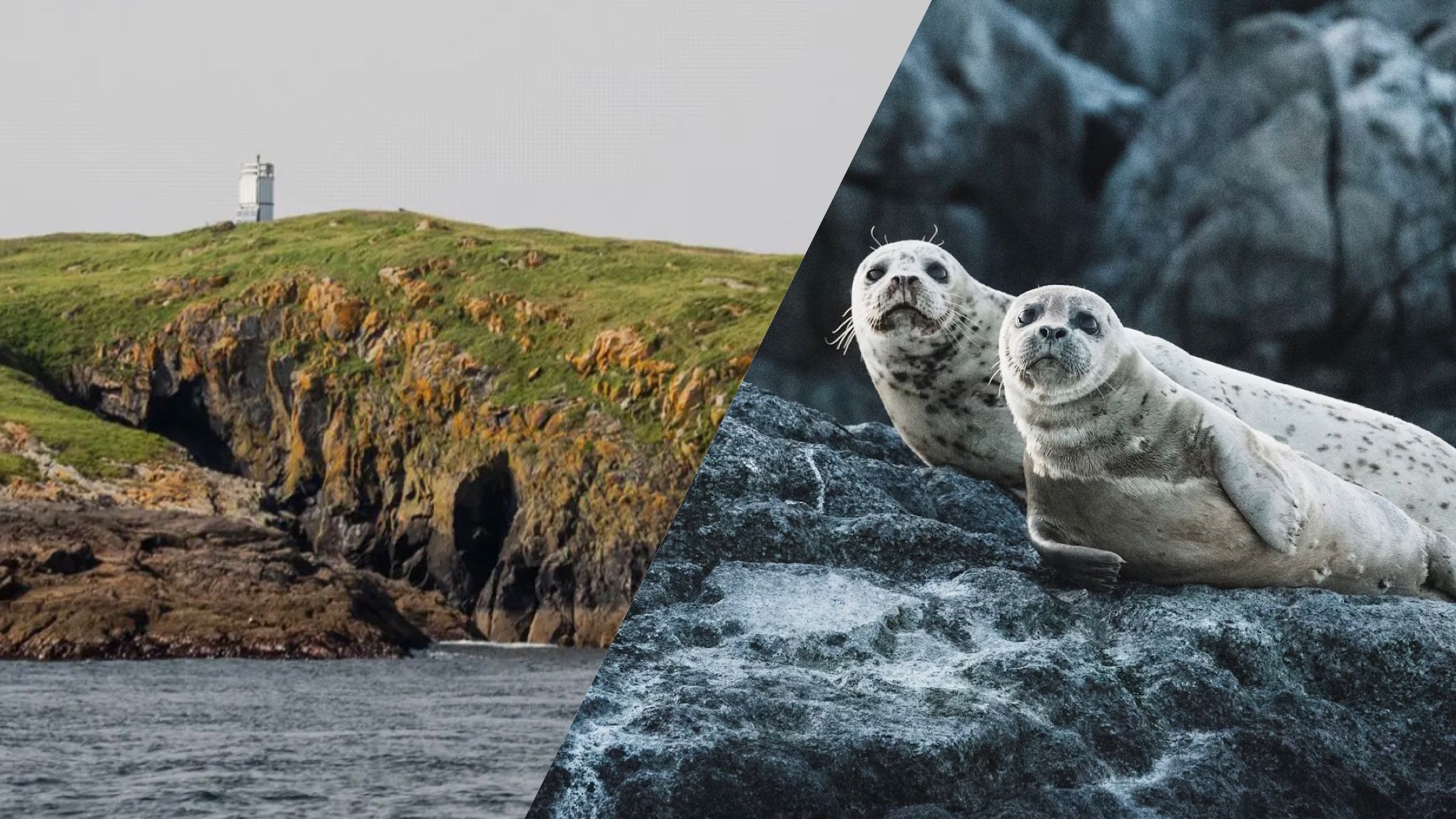 В Атлантичному океані продається безлюдний острів