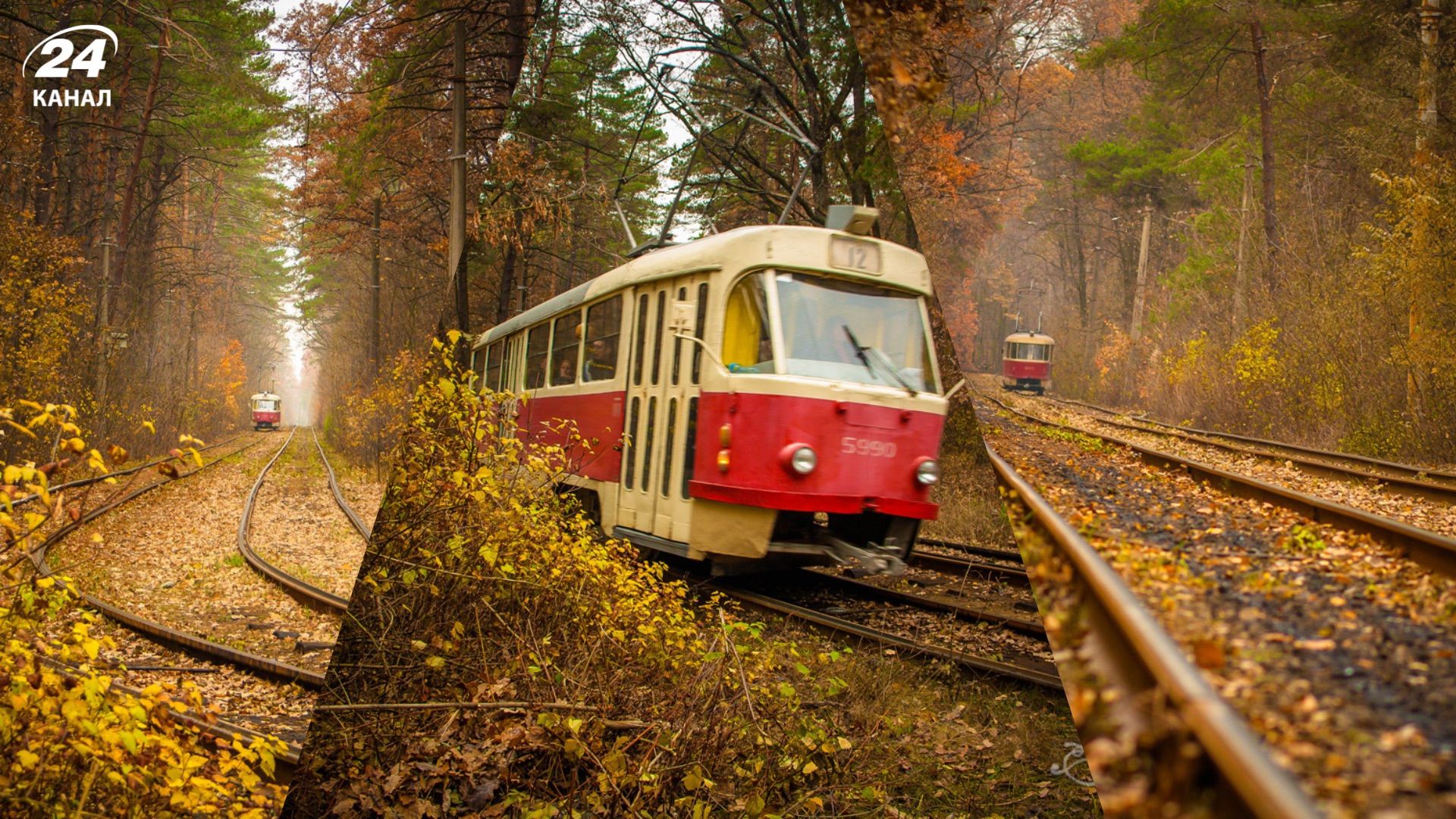Пуща-Водиця Пуща-Водиця