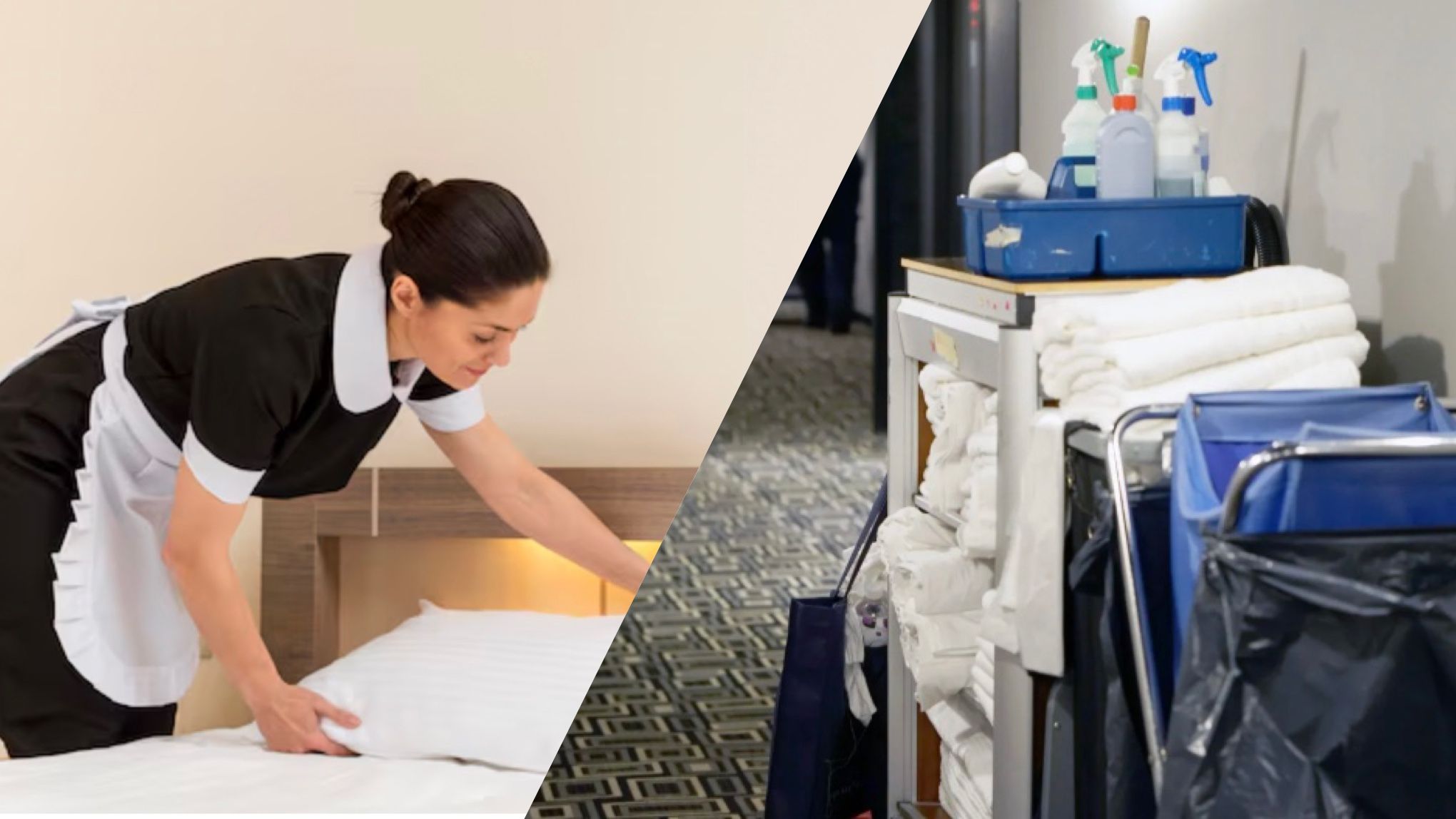 15 самых грязных предметов в номере отеля