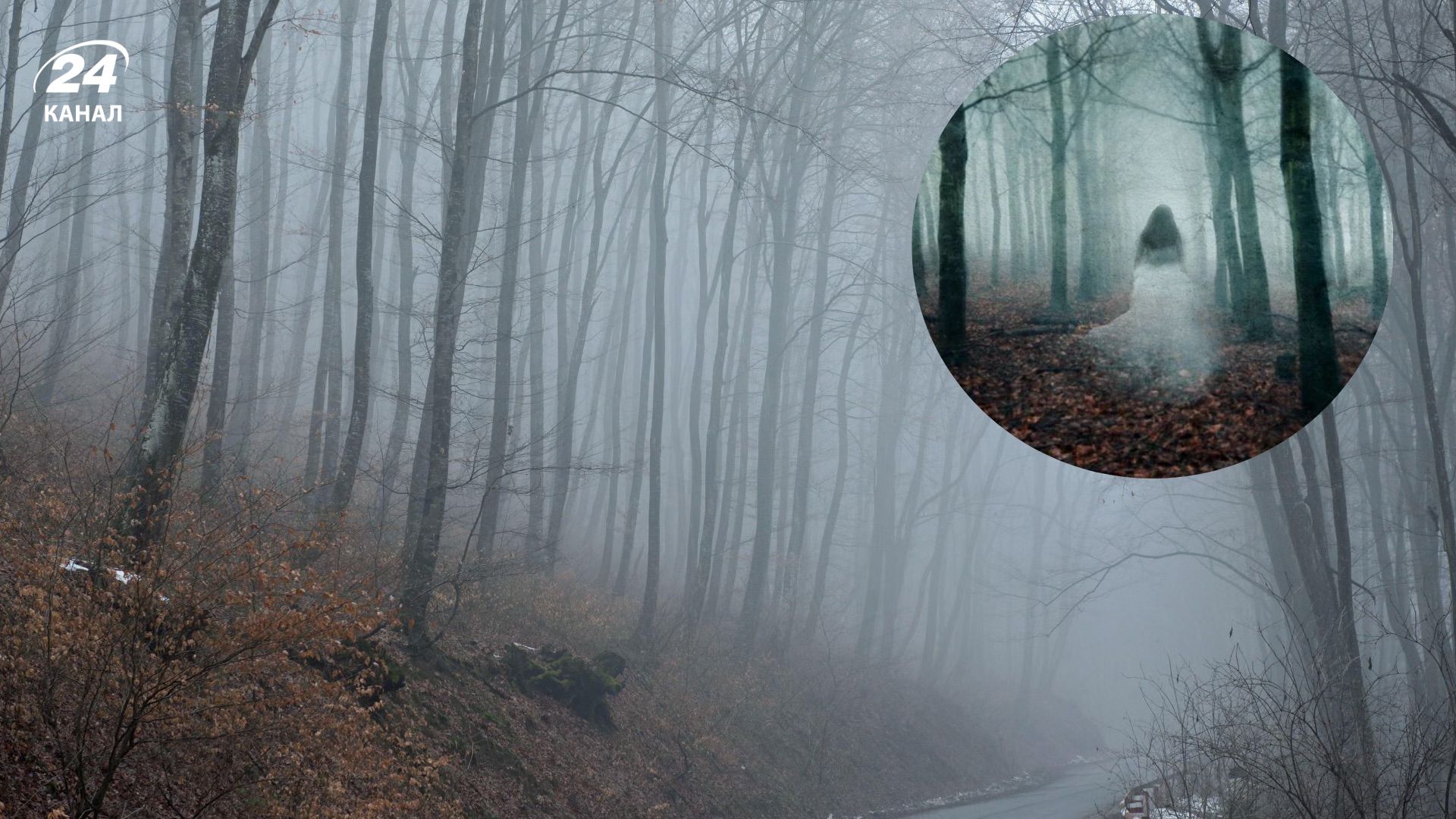 Найбільш привидний ліс у світі Найбільш привидний ліс у світі