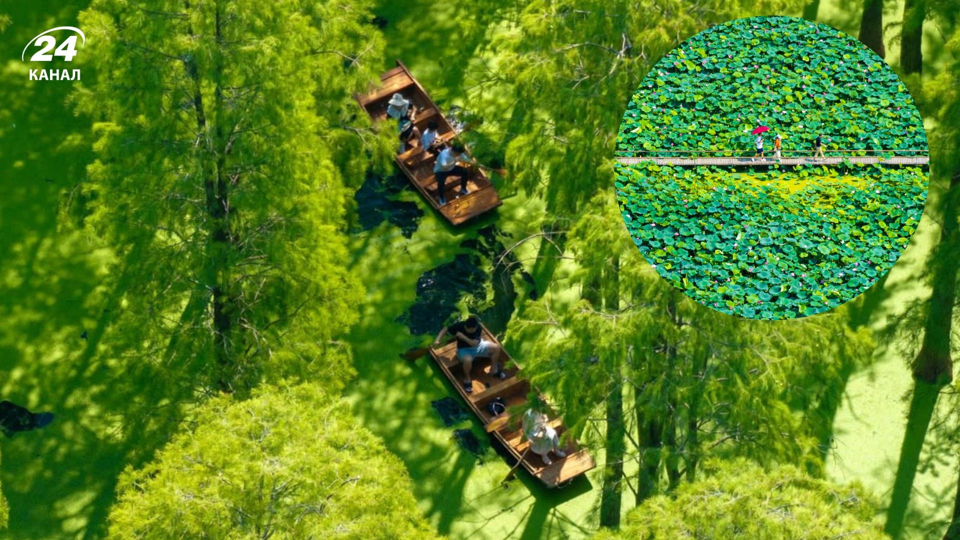 Вид на искусственный лес в парке озера Луян в Янчжоу Вид на искусственный лес в парке озера Луян в Янчжоу