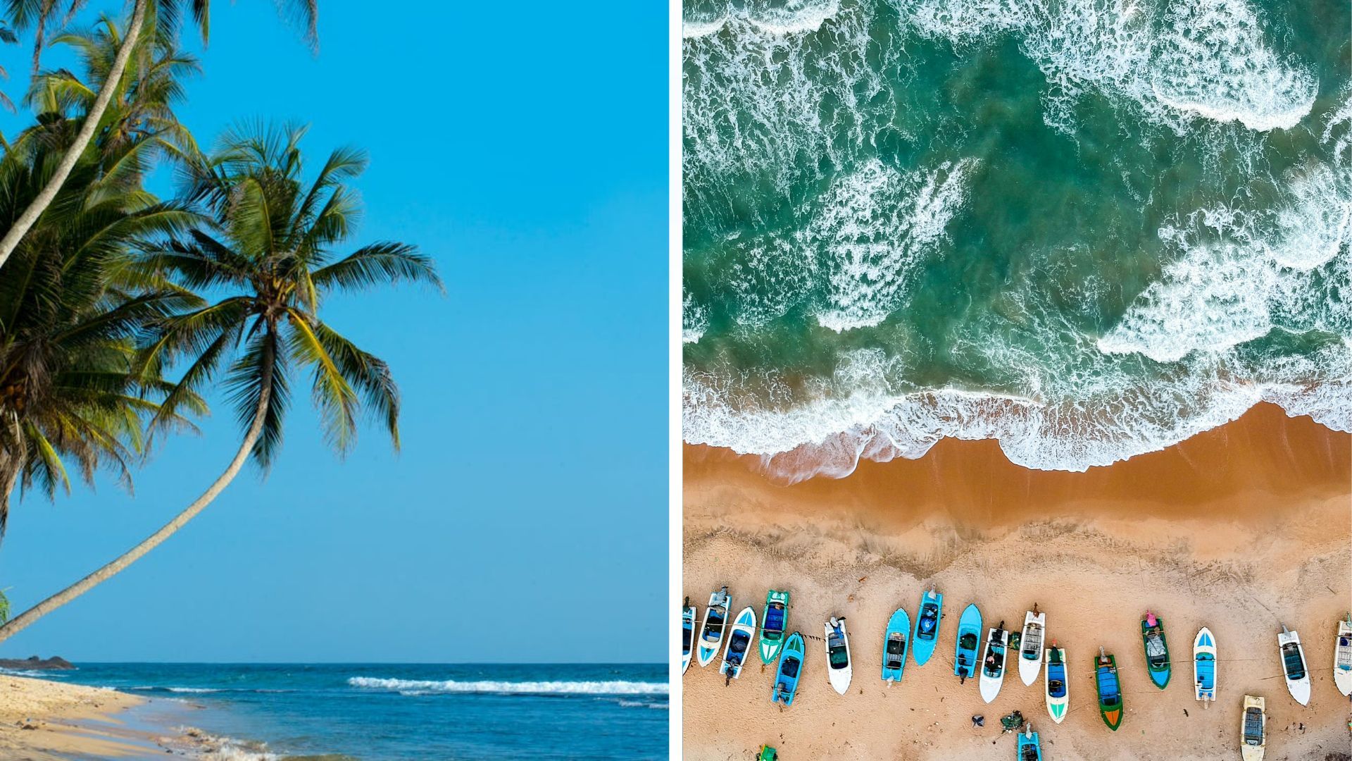 Когда лучше ехать на Шри-Ланку и что нужно знать об отдыхе в стране - Travel