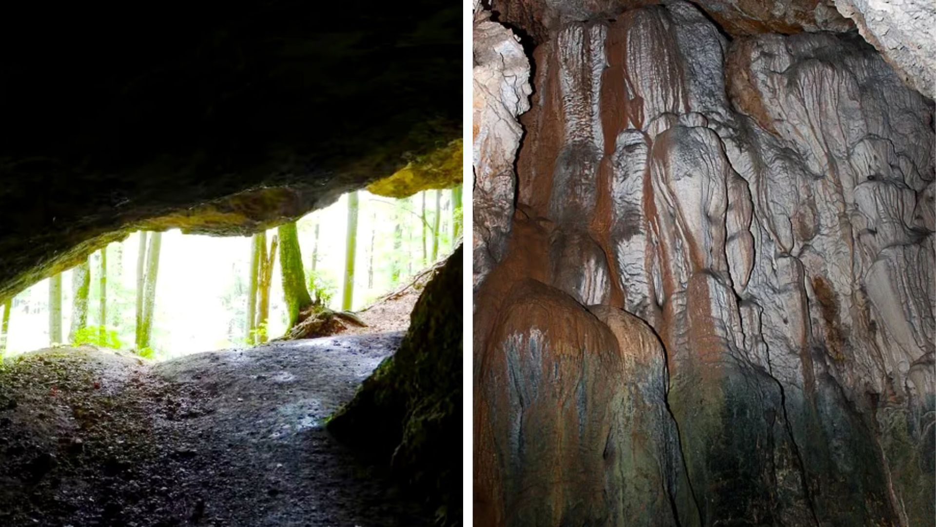Печера Молочний камінь у Карпатах - де знаходиться і що відомо про пам'ятку - Travel Печера Молочний камінь у Карпатах - де знаходиться і що відомо про пам'ятку - Travel