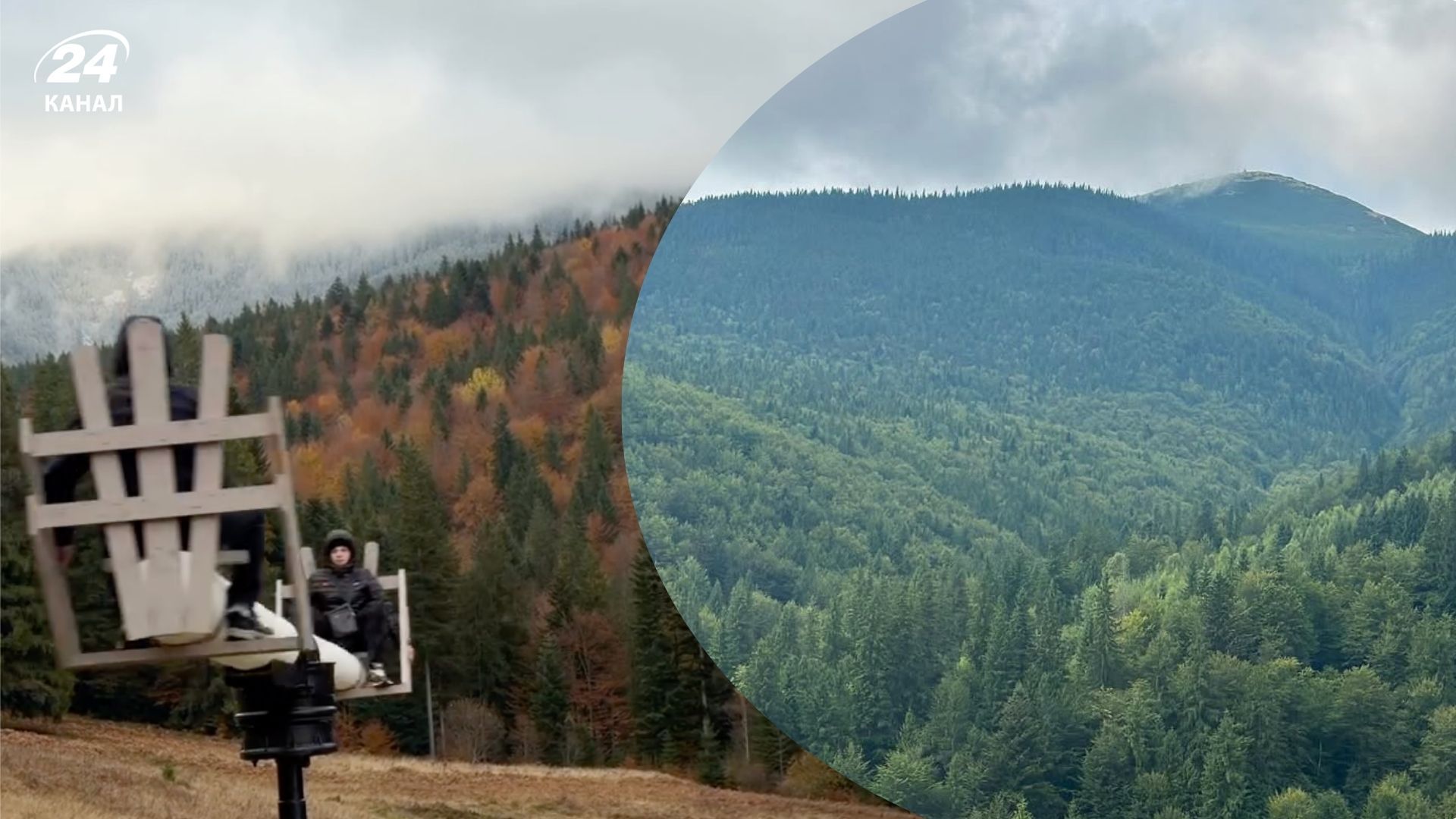 Де відпочити в Карпатах - відкрийте для себе полонину Залім - Travel