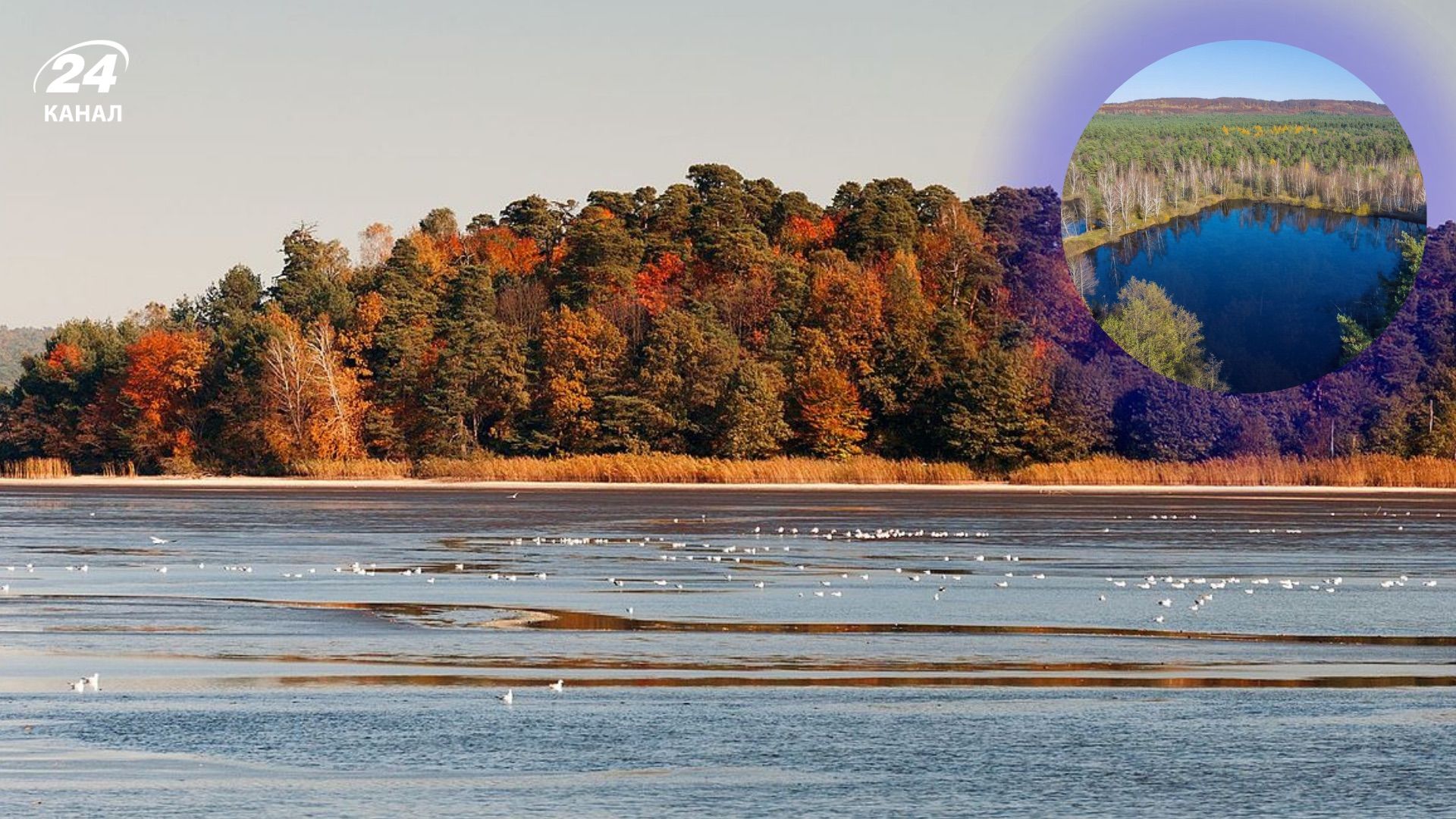 Заповедник "Расточье" на Львовщине Заповедник "Расточье" на Львовщине