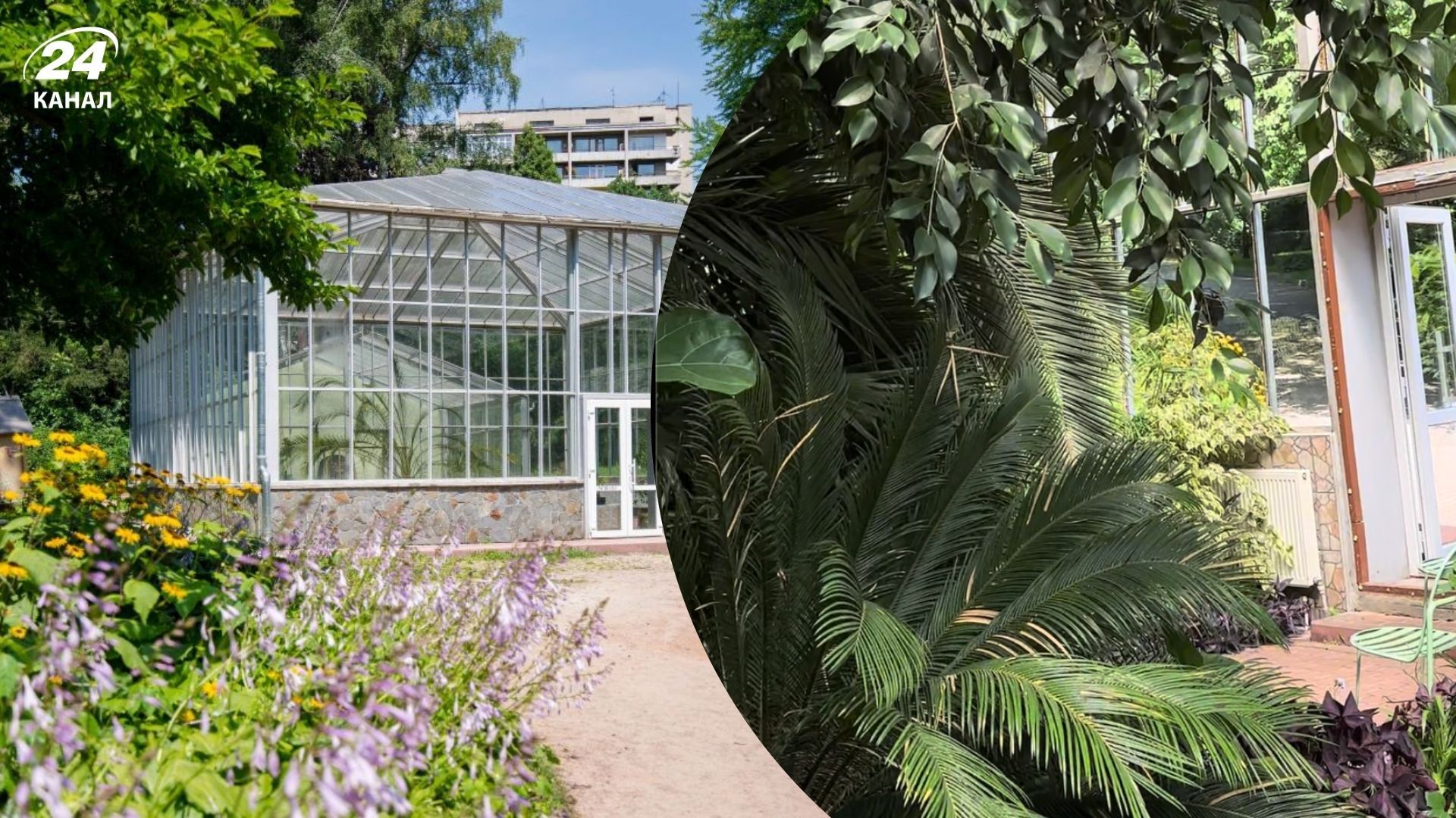 Оранжерея у Львові - яку екзотику там можна побачити та чому варто відвідати - Travel
