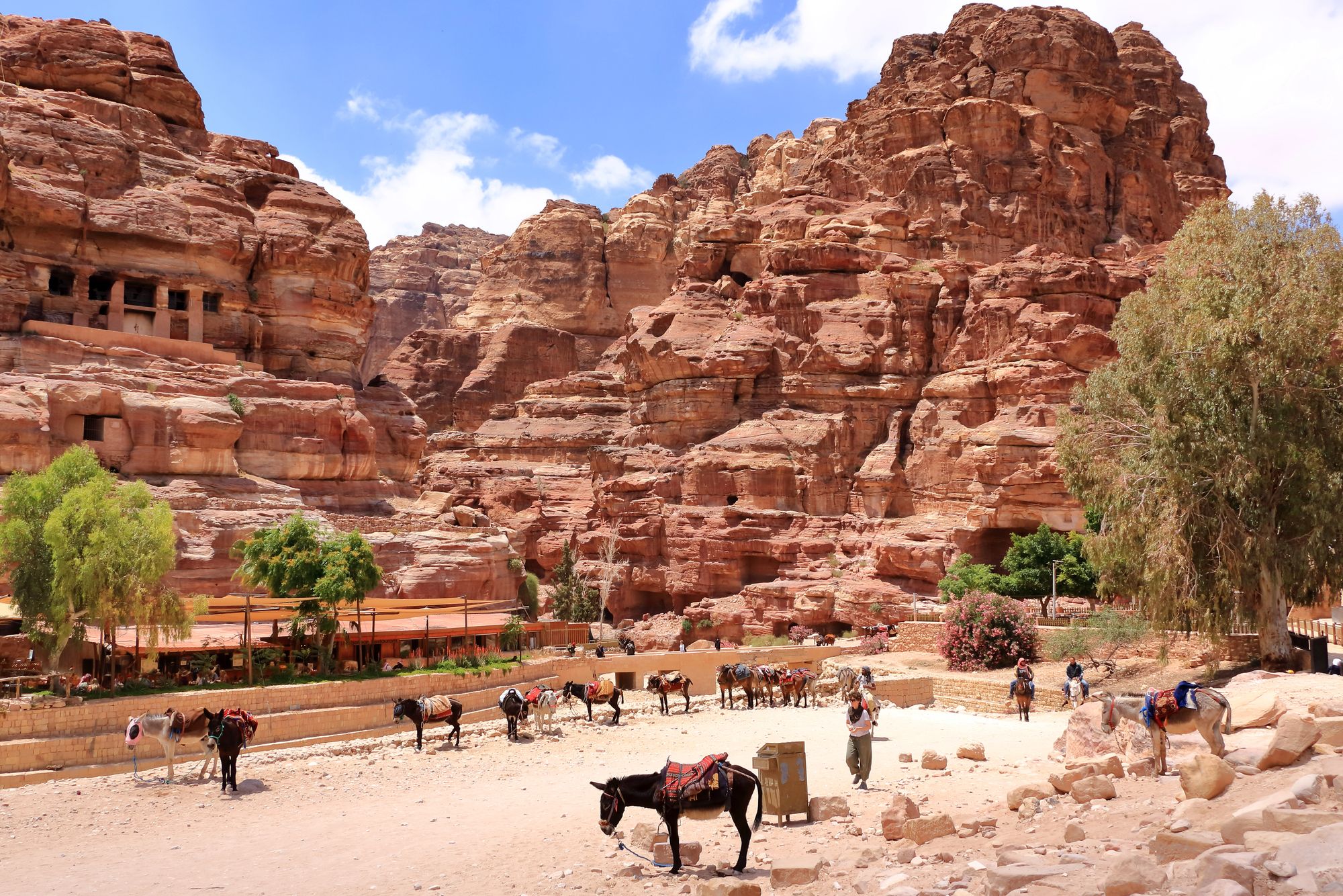 Поездка в Иорданию - сколько стоит, какие цены и что надо знать туристам Поездка в Иорданию - сколько стоит, какие цены и что надо знать туристам