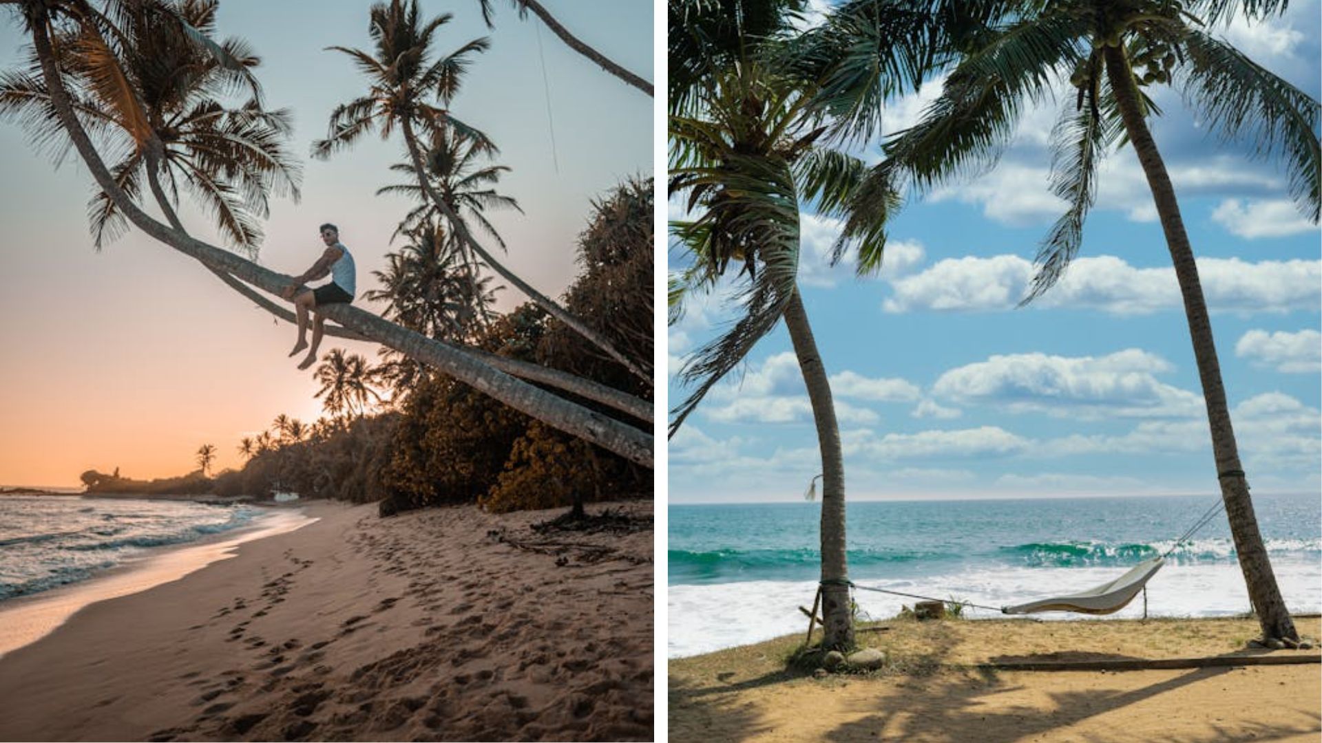 Шри-Ланка - когда лучше всего ехать, какие есть запреты и что нужно знать туристам - Travel Шри-Ланка - когда лучше всего ехать, какие есть запреты и что нужно знать туристам - Travel