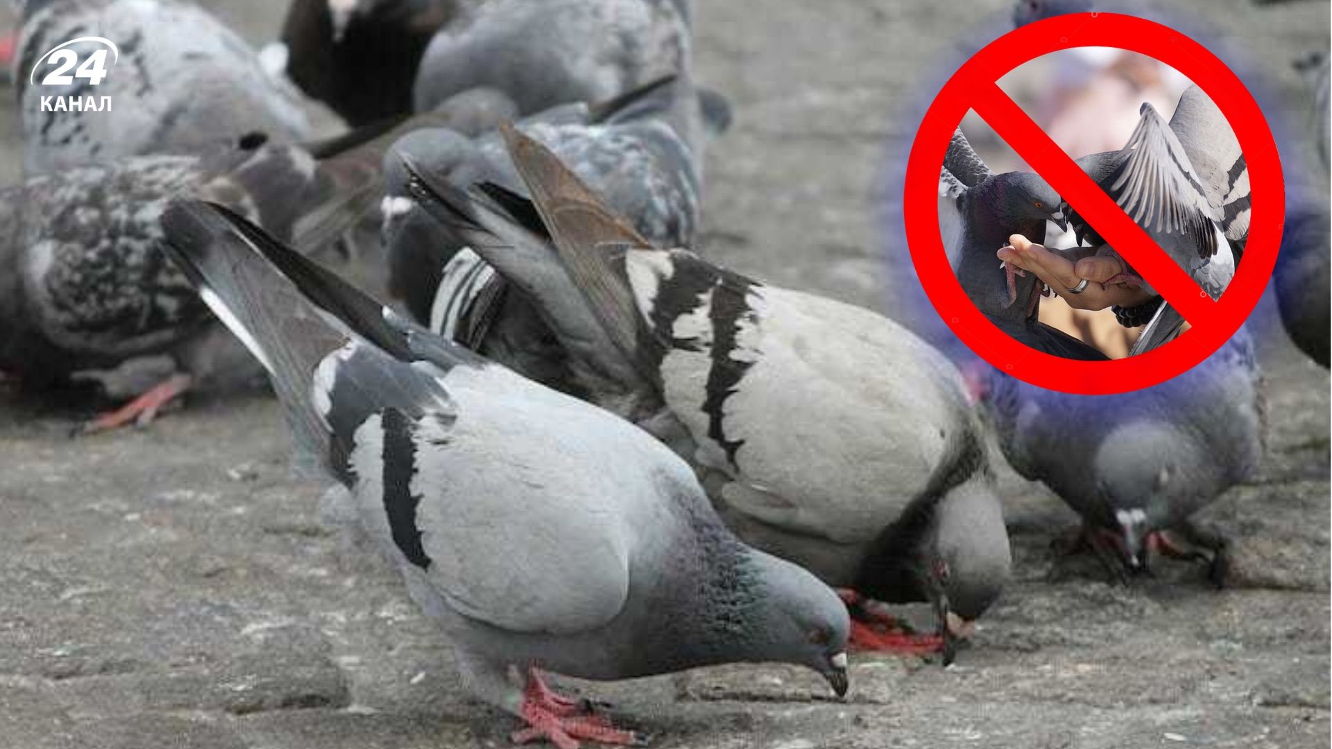 Что нельзя делать туристам в других странах Что нельзя делать туристам в других странах