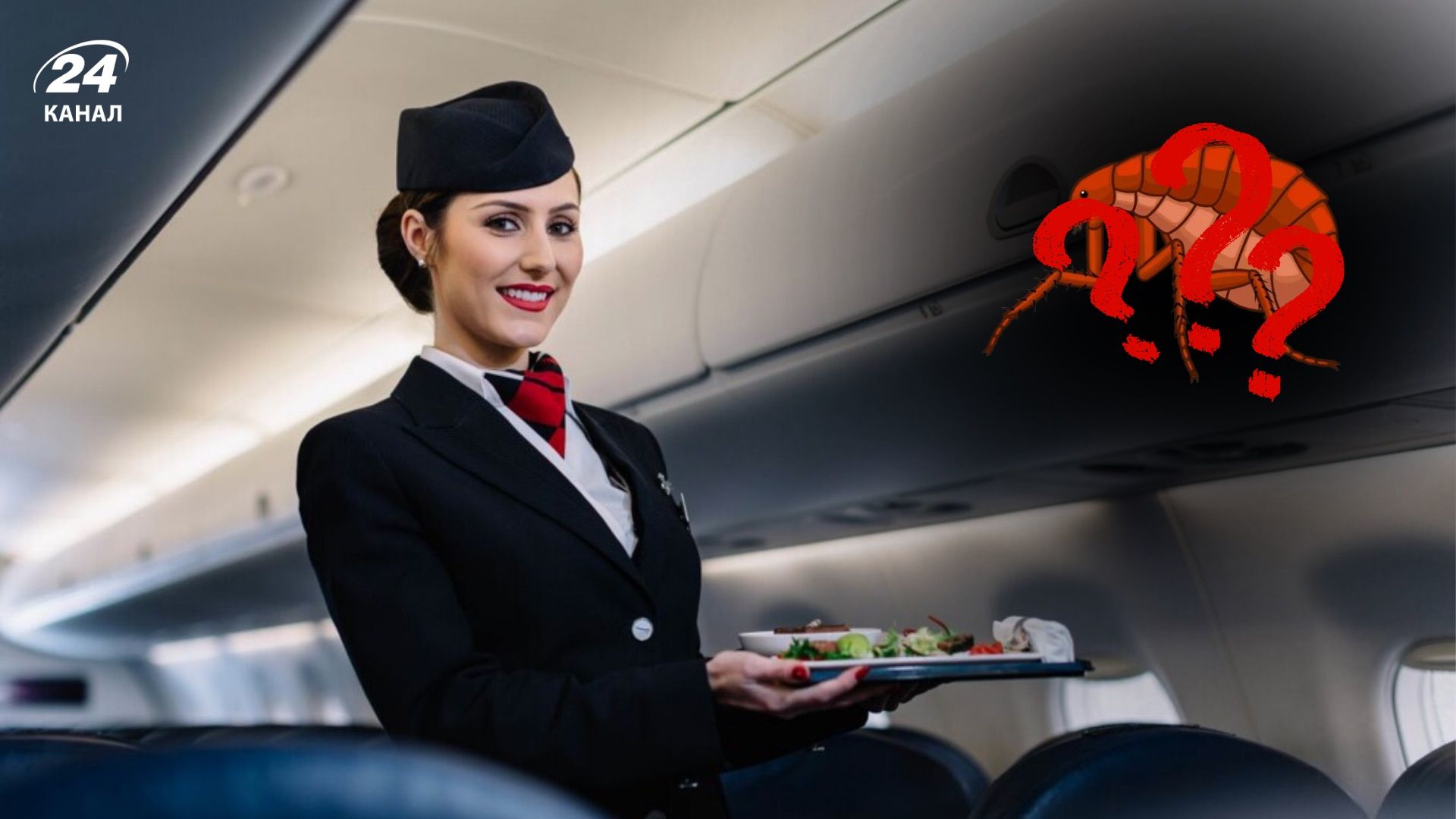 Почему стюардессы называют некоторых пассажиров "проходными вшами" Почему стюардессы называют некоторых пассажиров "проходными вшами"