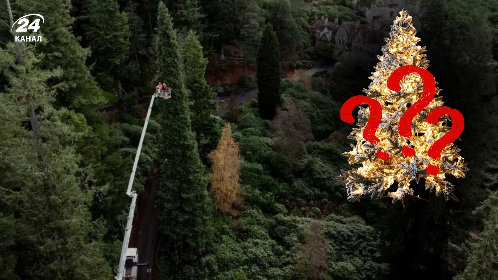 Самая высокая новогодняя елка мира Самая высокая новогодняя елка мира