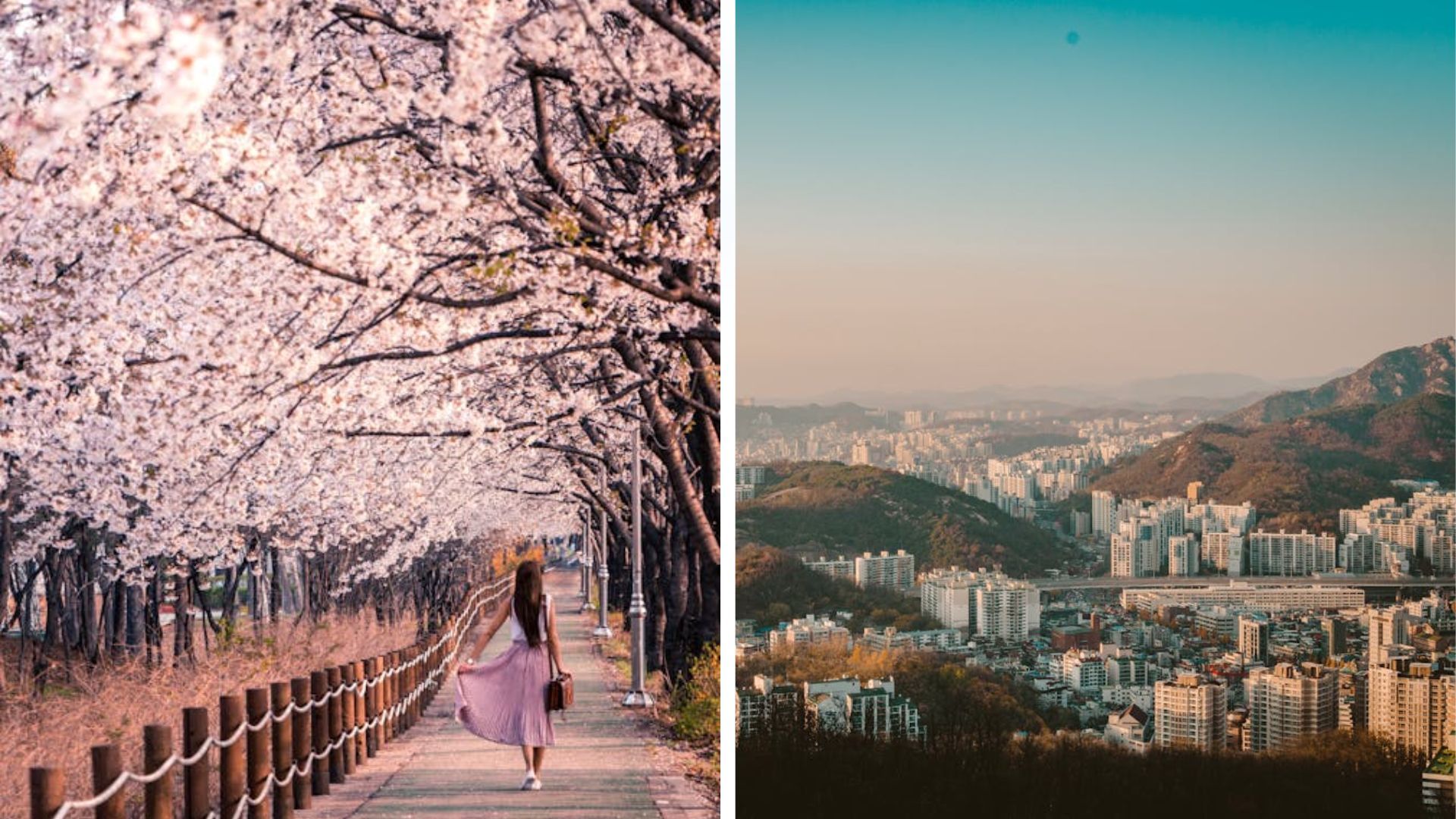 Сеул, Південна Корея - що відомо про найдорожче місто світу 2025 Сеул, Південна Корея - що відомо про найдорожче місто світу 2025