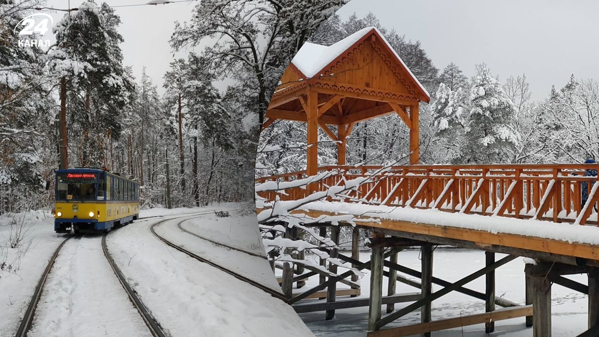 Трамвай-кафе до Пущі-Водиці вже відновив роботу - ціни та графік екскурсії