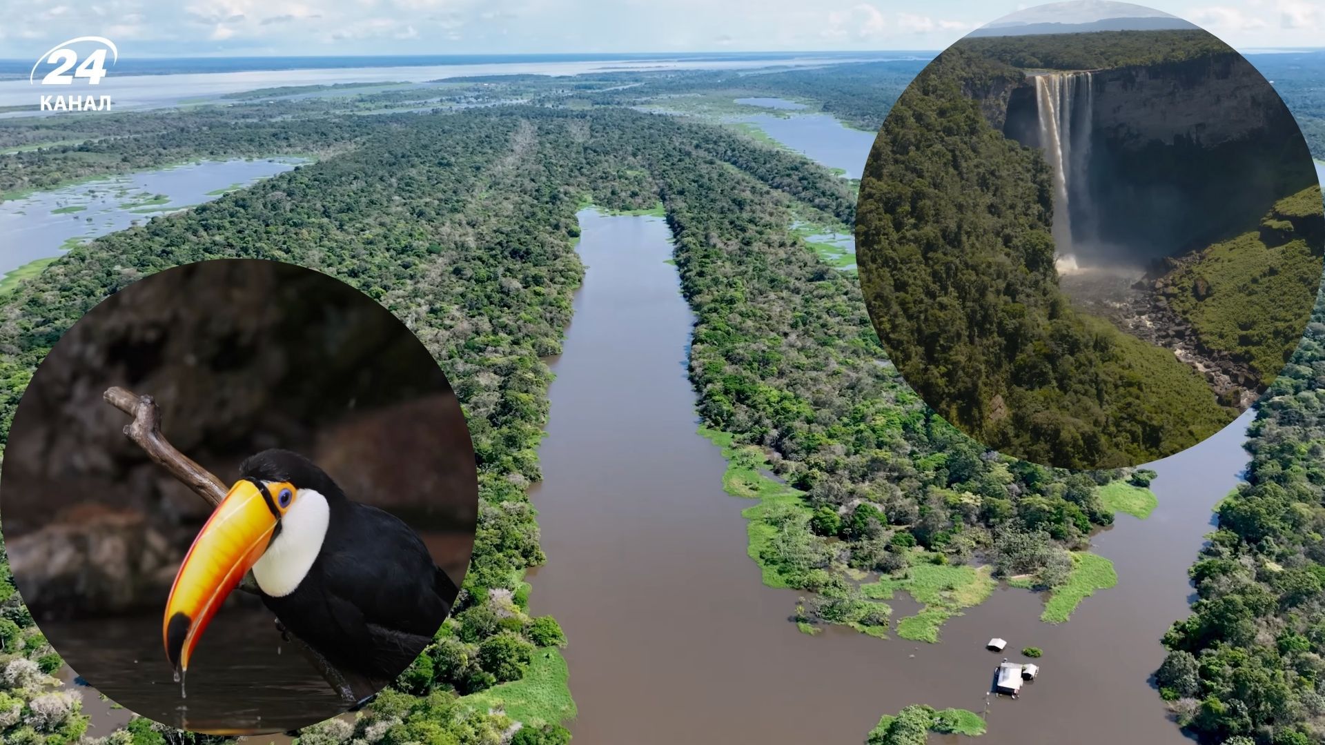 Яка річка є найбільшою у світі - цікаві факти про Амазонку