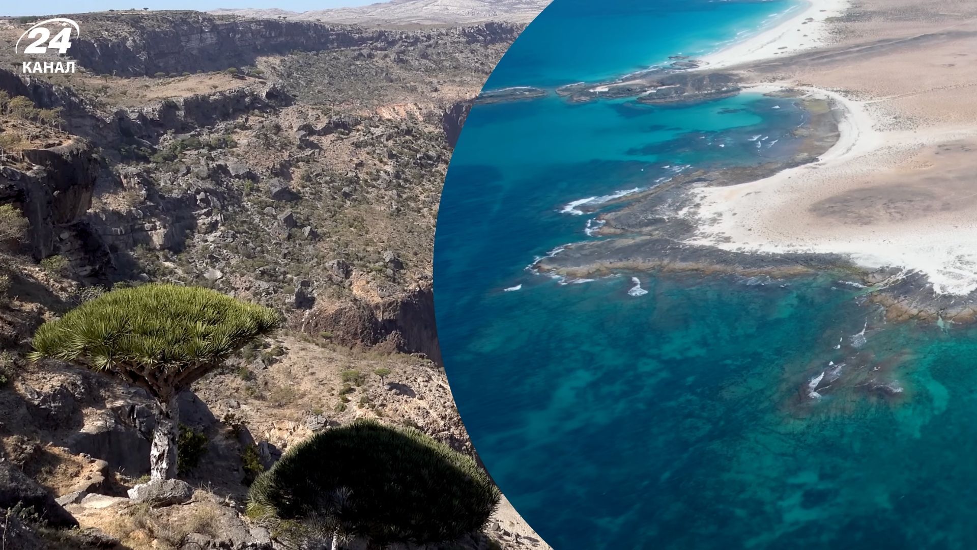 Сокотра - остров в Аравийском море, принадлежащий Йемену - что предлагает туристам