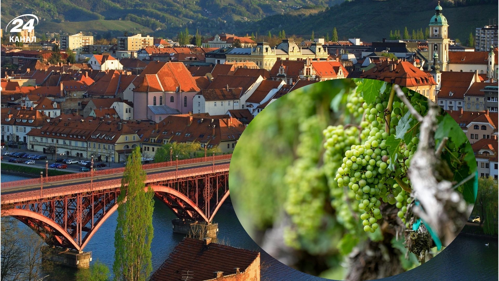 Названа винная столица Европы