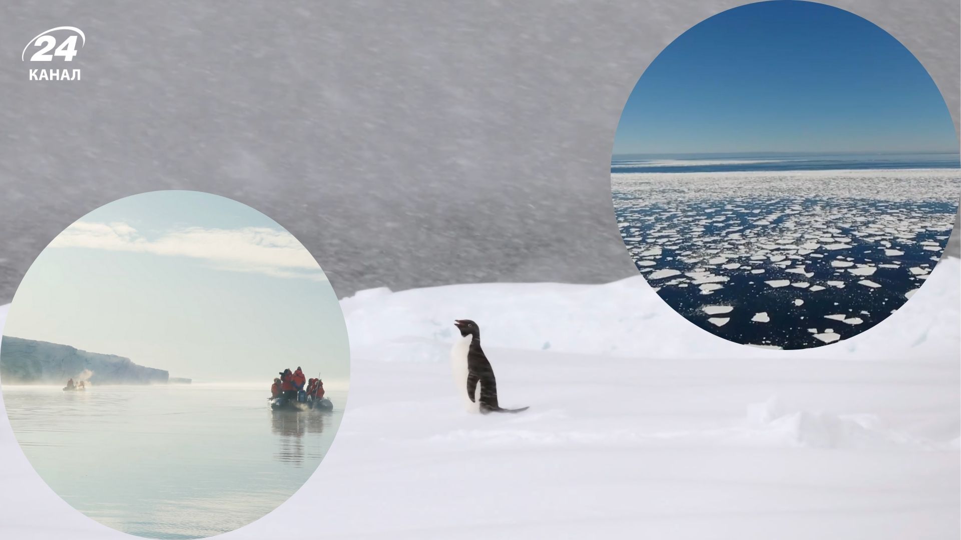 Какое море самое холодное в мире - Надя Дорофеева о нем пела