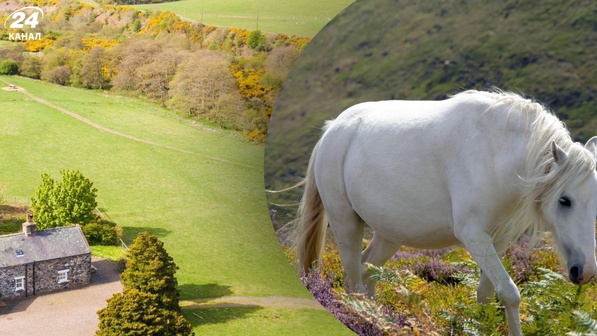Долина Колледж в Великобритании - здесь бегают пони и почти нет авто Долина Колледж в Великобритании - здесь бегают пони и почти нет авто