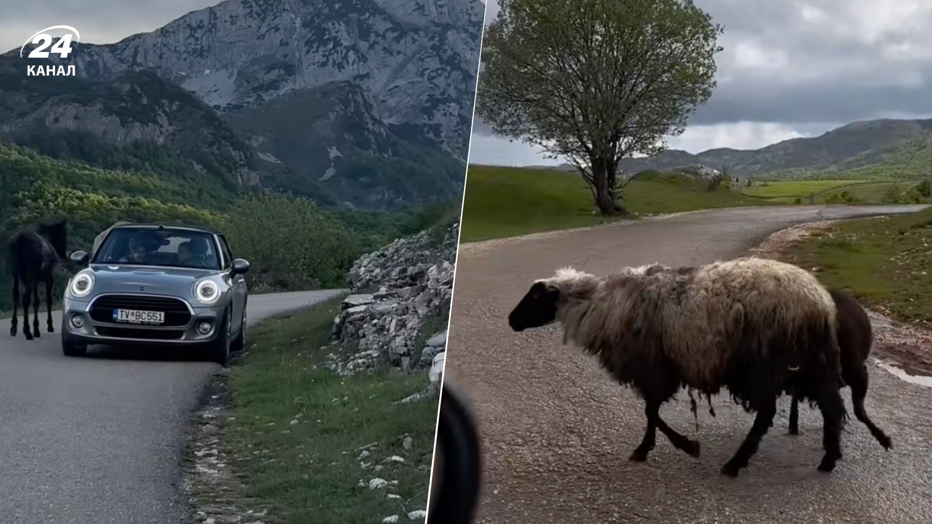 Красиве місце в Чорногорії, яке треба відвідати весною