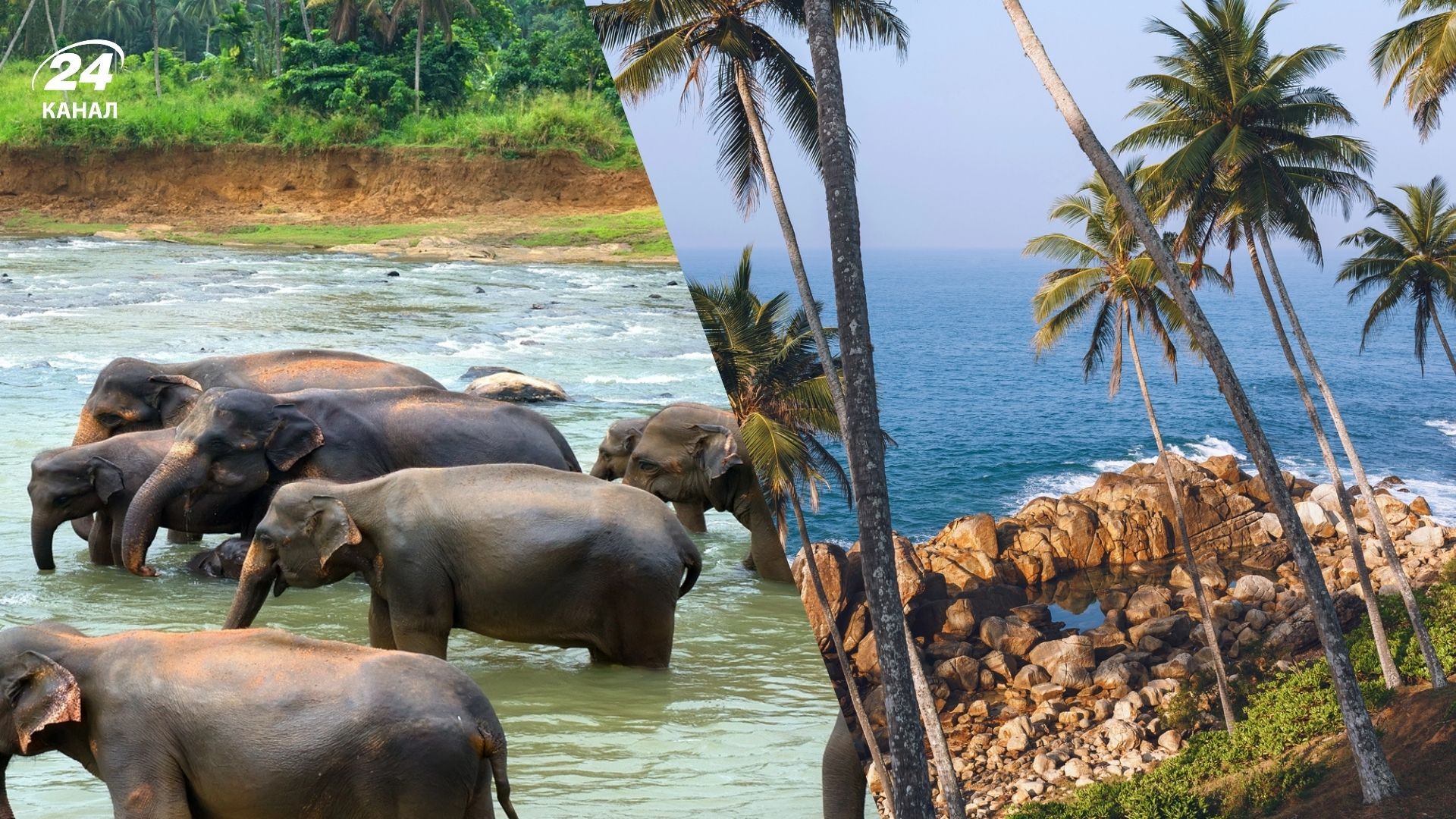 Який клімат на Шрі-Ланці - коли найкраще їхати у цю країну Який клімат на Шрі-Ланці - коли найкраще їхати у цю країну