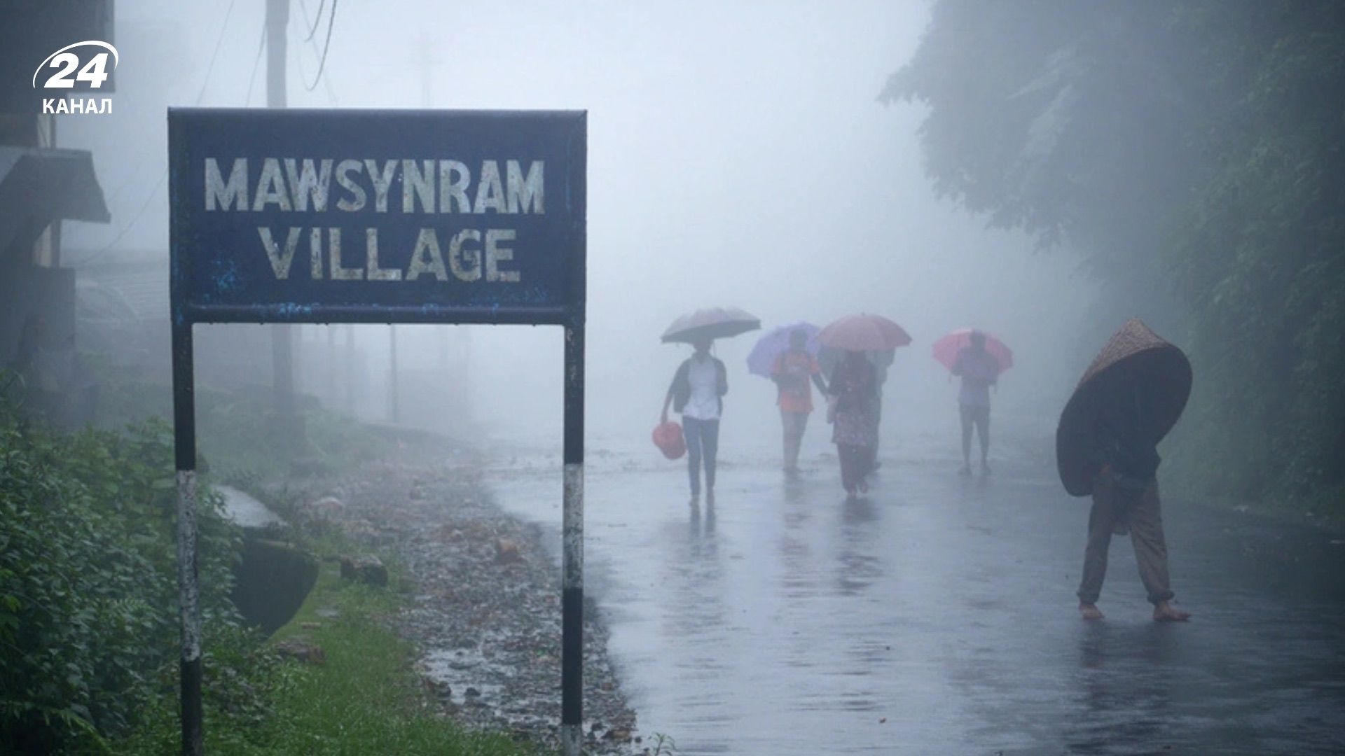 Дождь идет почти каждый день: где расположено самое влажное место на Земле