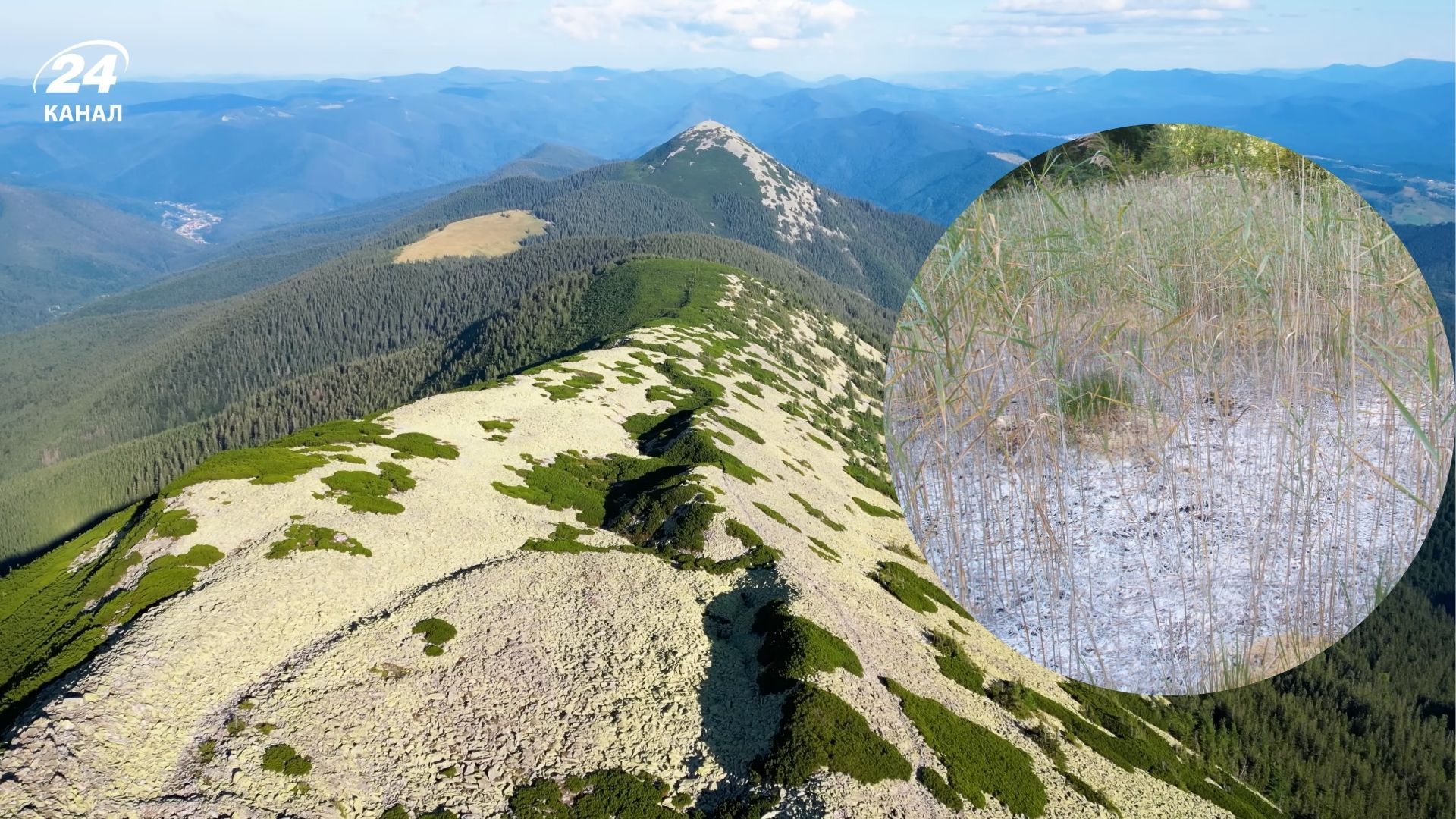 Озеро Синяк - таємнича блакитна водойма на Закарпатті - чому варто побачити
