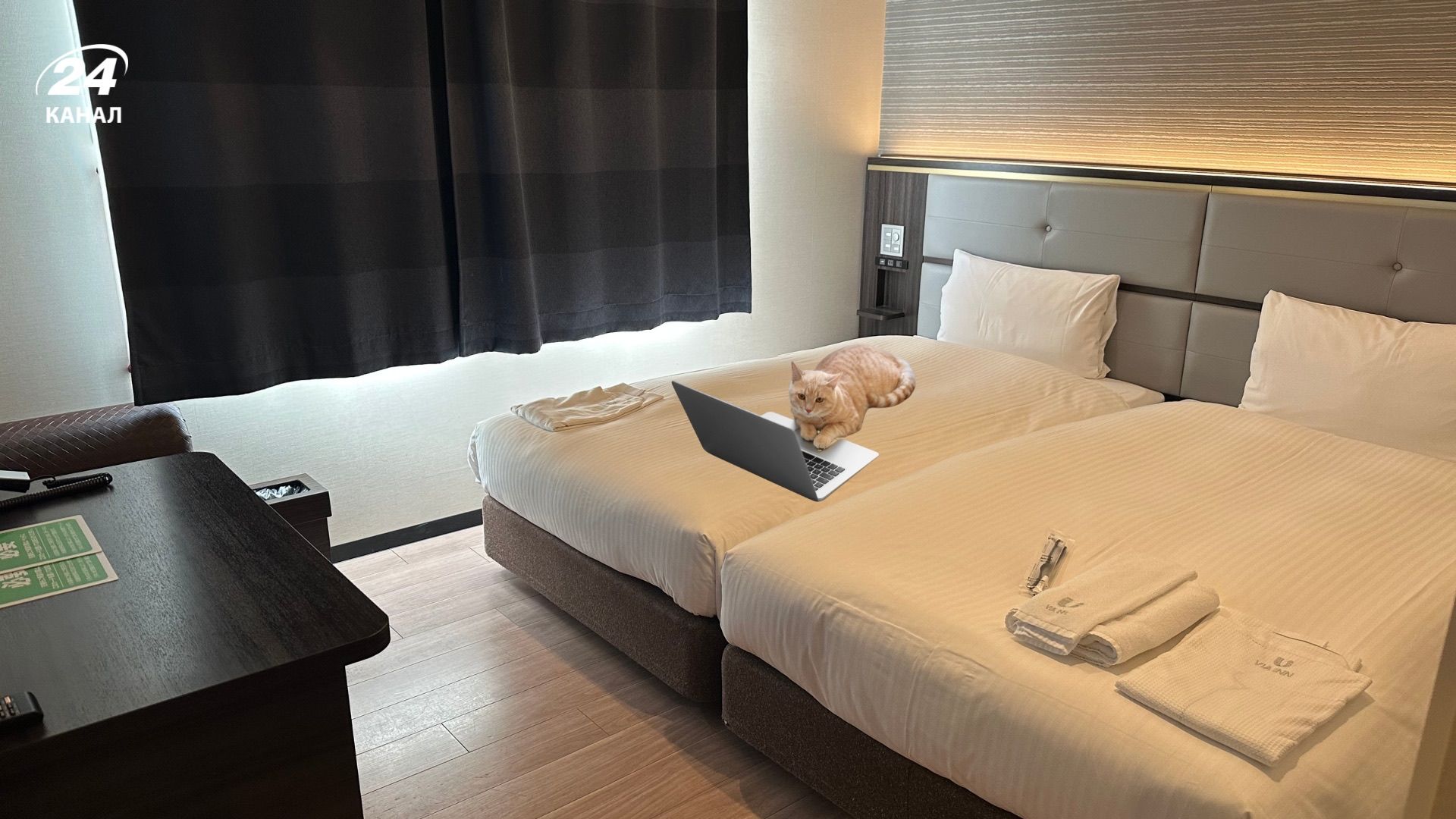 Секрети економії при бронюванні 