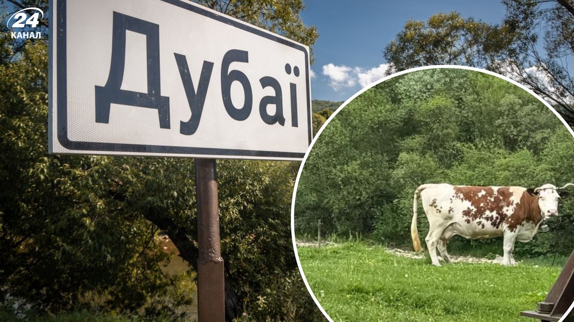 Дубай в Украине - где на Львовщине есть табличка Дубаи в селе