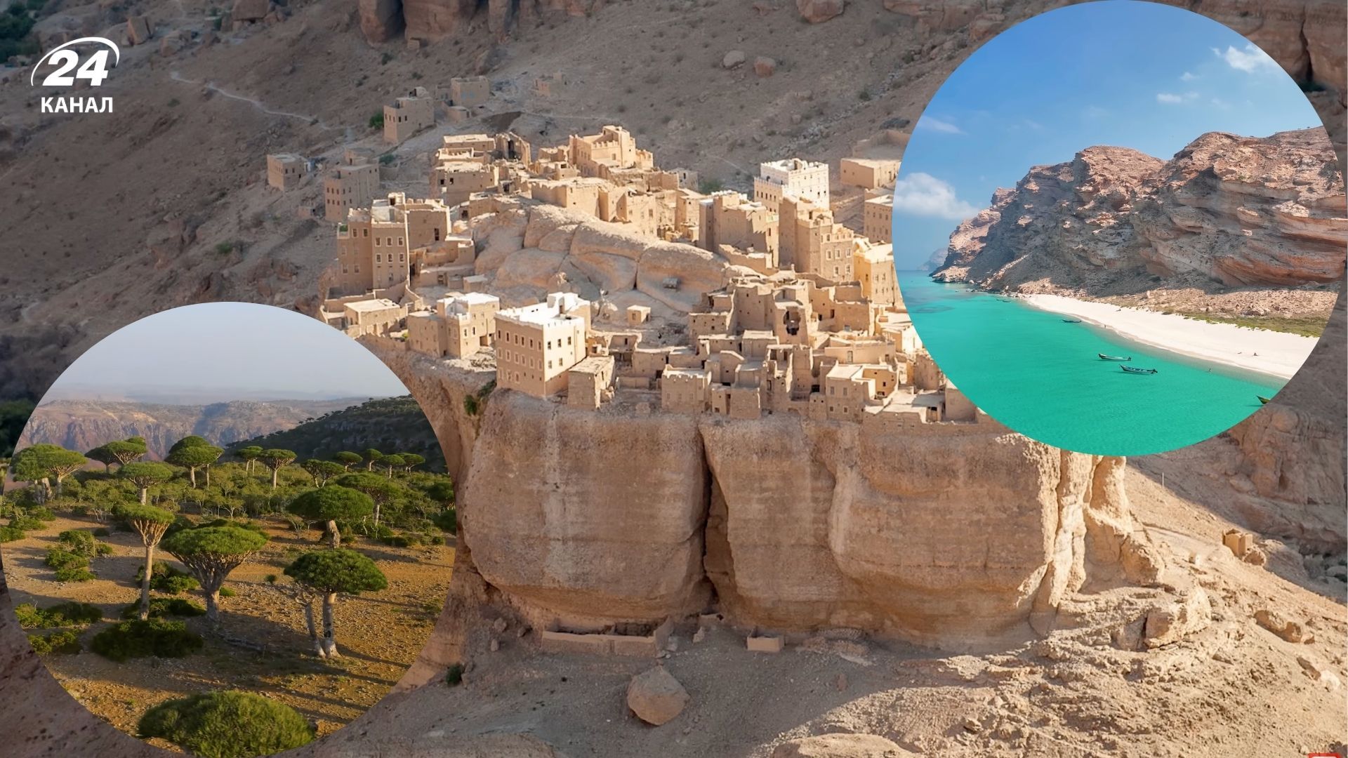 Йемен - где расположен и интересные факты о стране хуситов и Дерева крови дракона Йемен - где расположен и интересные факты о стране хуситов и Дерева крови дракона