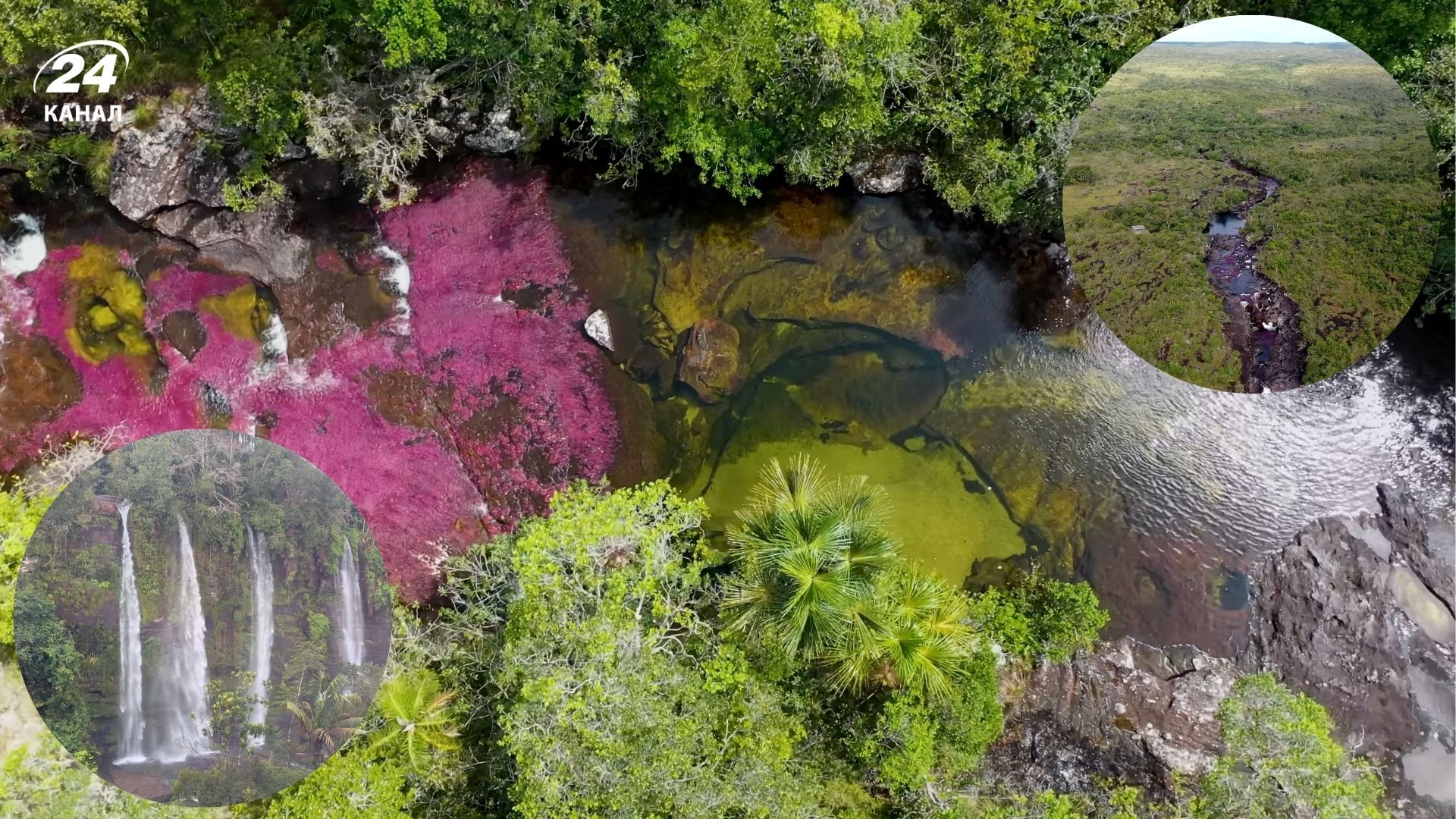 Каньо Кристалес в Колумбии - река пяти цветов - как такое может быть Каньо Кристалес в Колумбии - река пяти цветов - как такое может быть