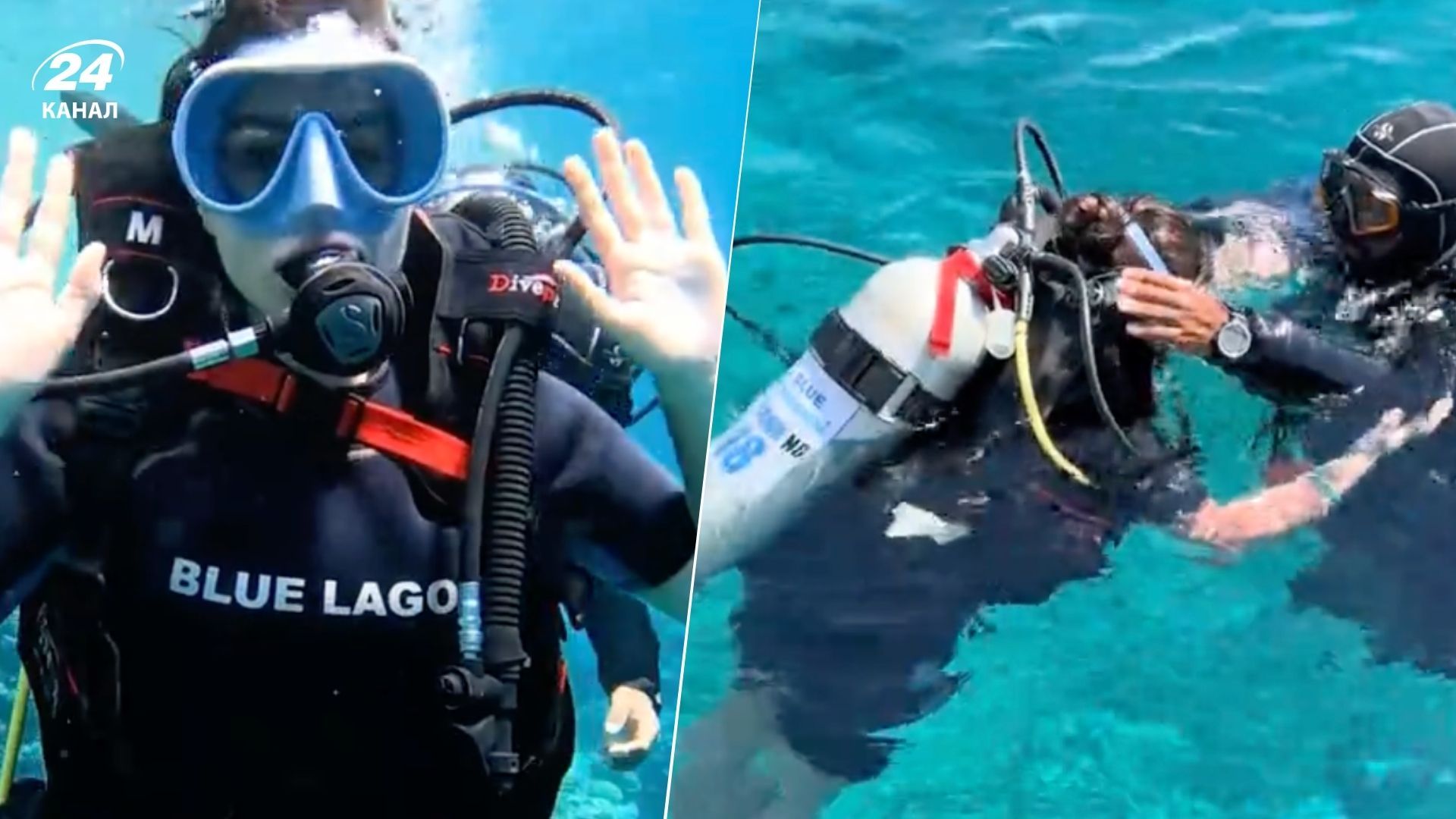 Украинка поделилась впечатлениями от дайвинга в Египте и назвала цену