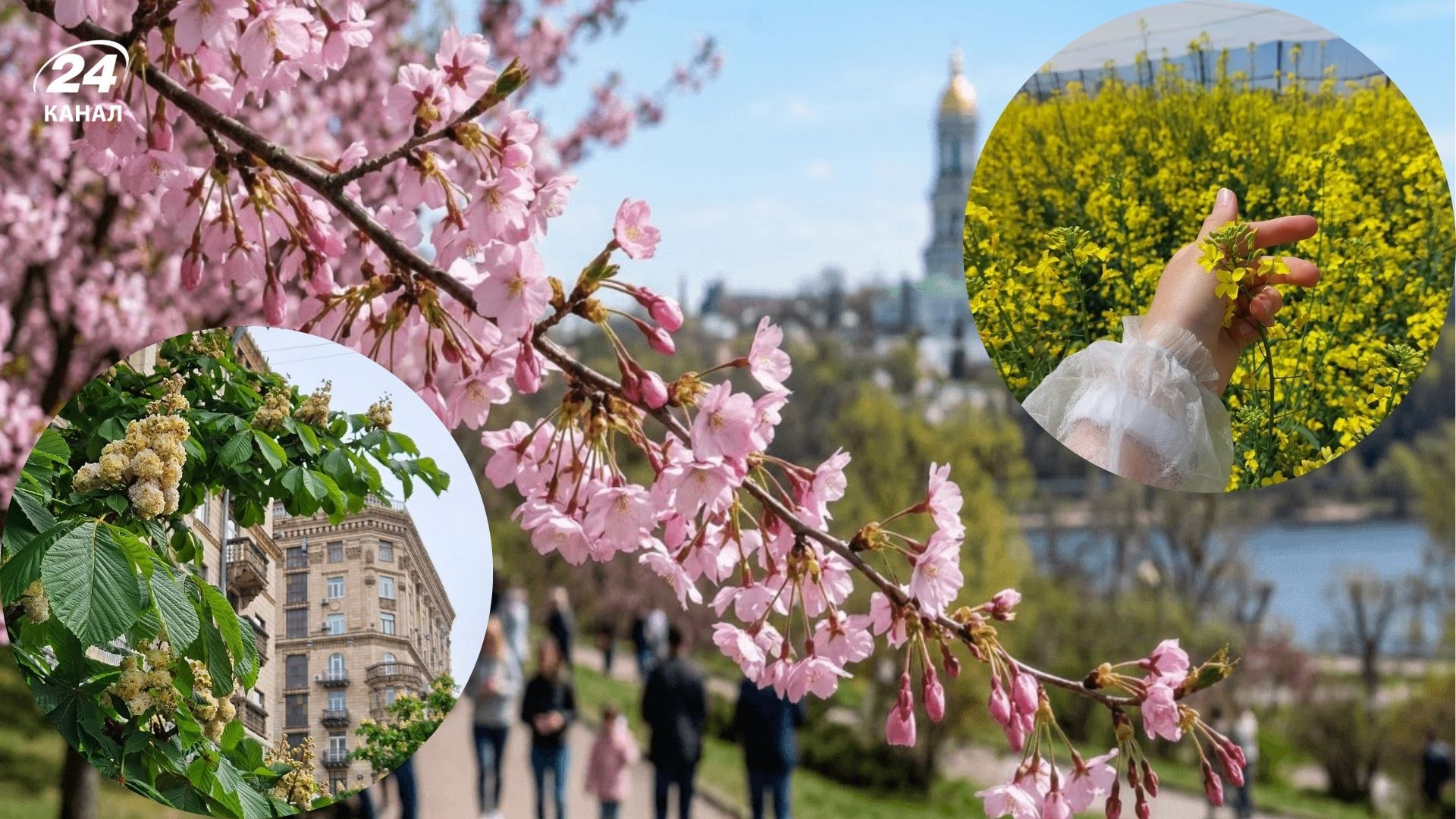 Календарь цветения в Украине на весну 2026 года - чтобы не пропустить ни одного цветка Календарь цветения в Украине на весну 2026 года - чтобы не пропустить ни одного цветка