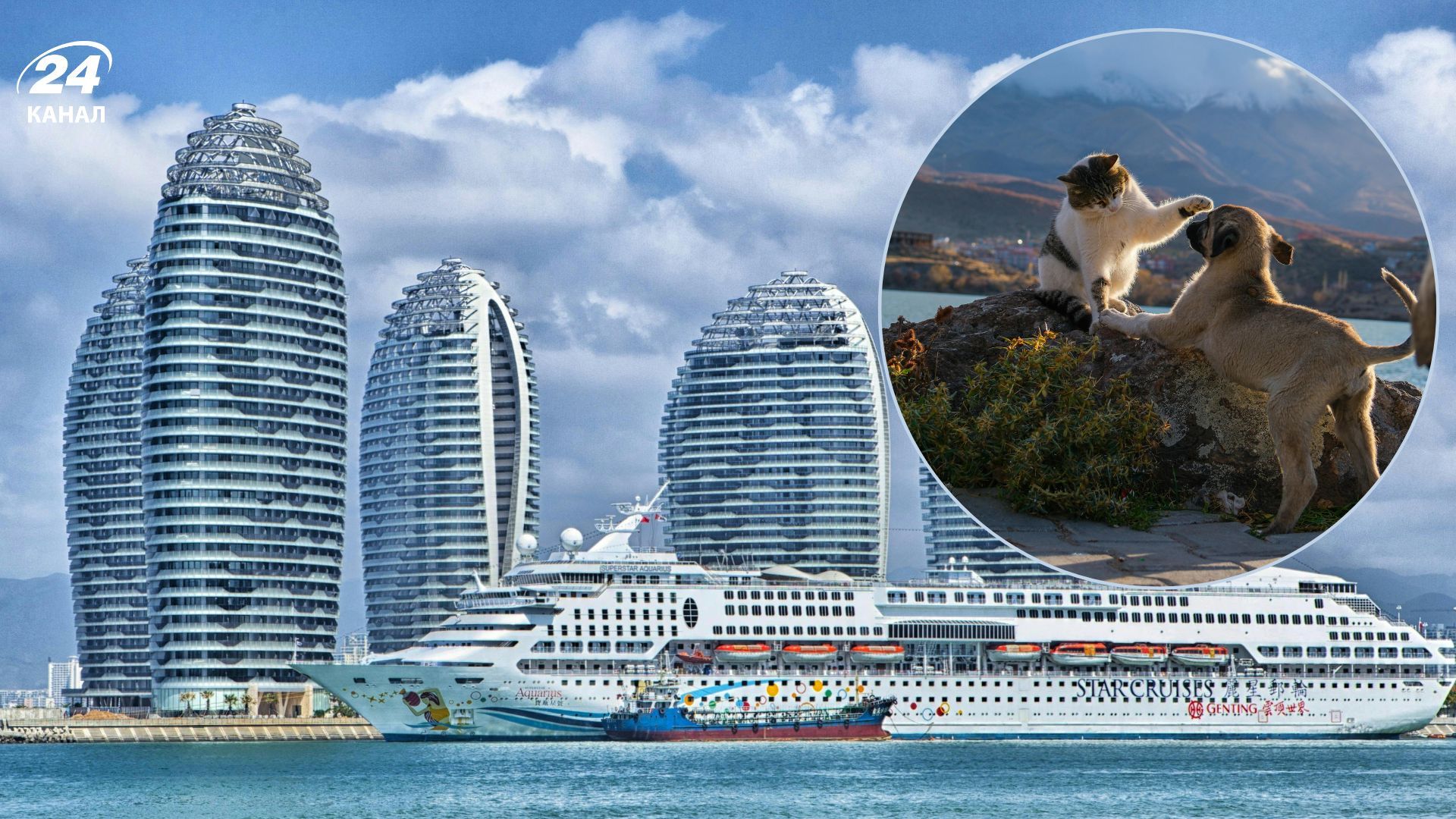 На круизный лайнер разрешат брать домашних животных на круизный лайнер На круизный лайнер разрешат брать домашних животных на круизный лайнер