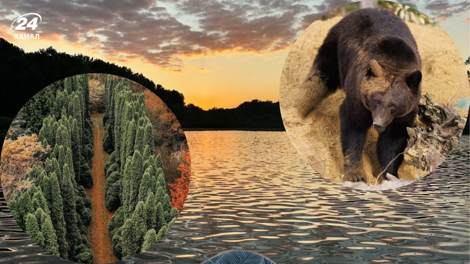 Що цікавого є дуже близько до Львова - Домажир, Арборетум, Наварія Що цікавого є дуже близько до Львова - Домажир, Арборетум, Наварія