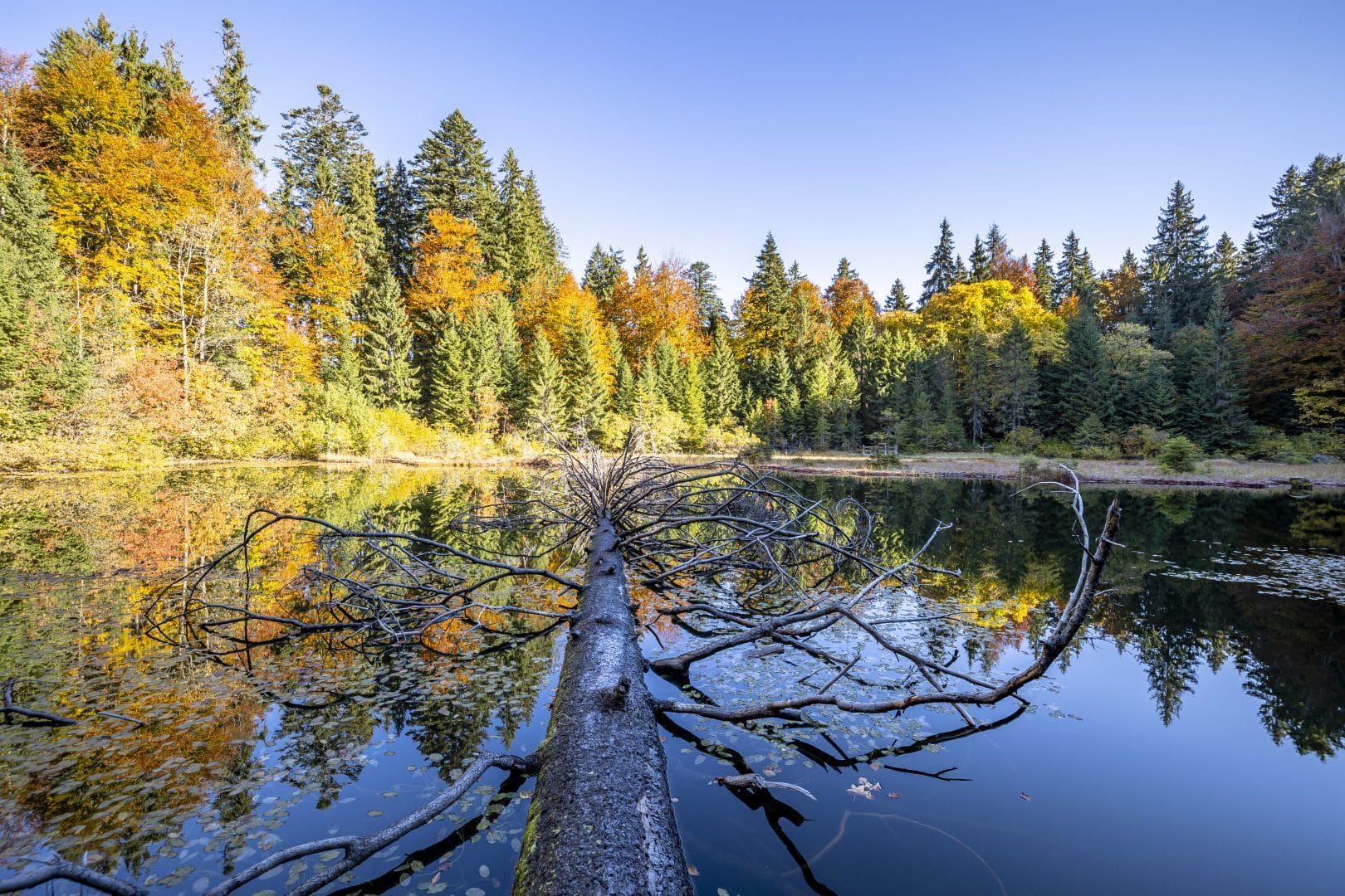 Дике озеро біля Синевиру - де розташована ця красива водойма, про яку не знають туристи Дике озеро біля Синевиру - де розташована ця красива водойма, про яку не знають туристи