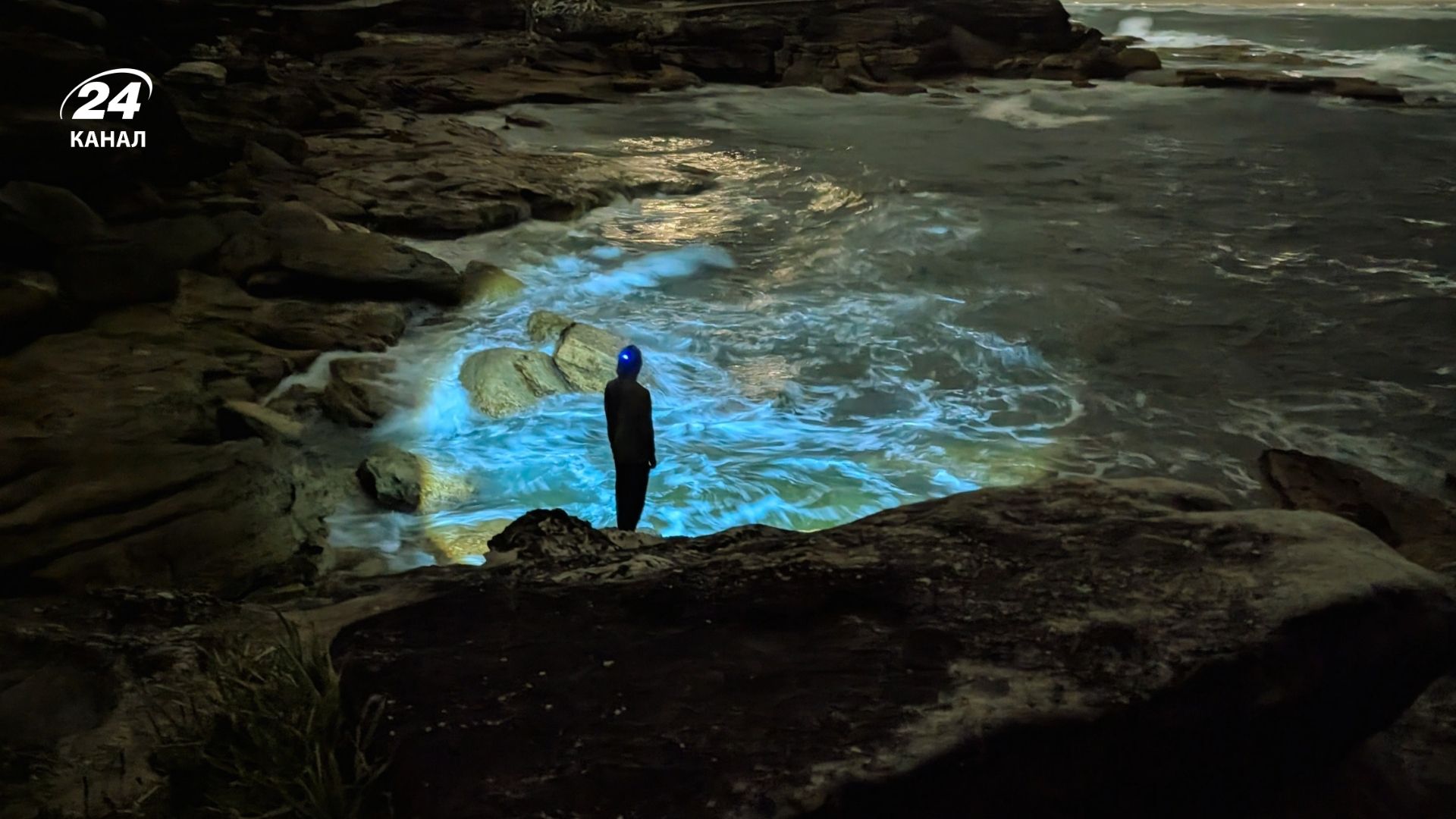 Біолюмінесцентні пляжі Біолюмінесцентні пляжі