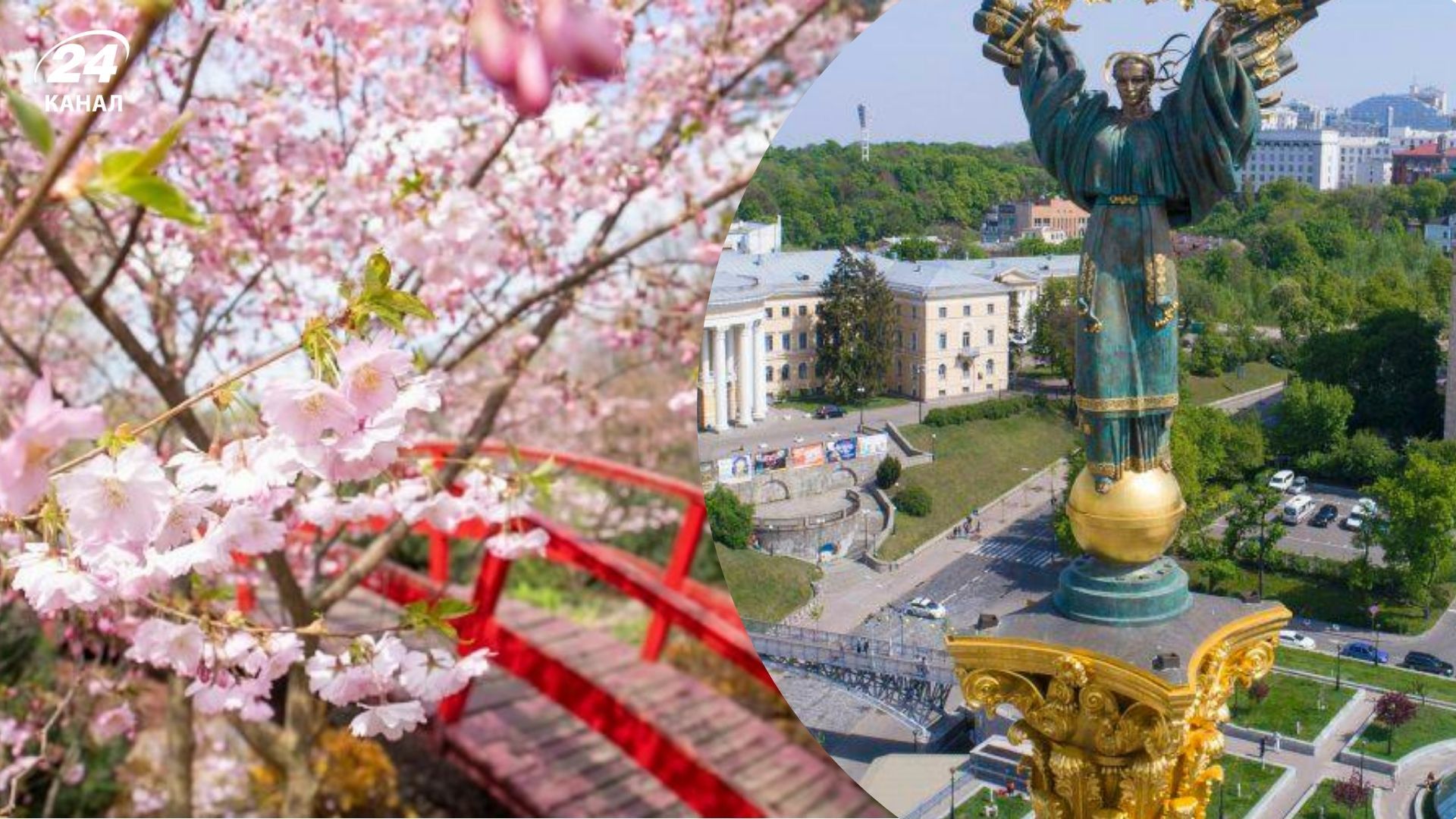 Список локацій із сакурами у Києві