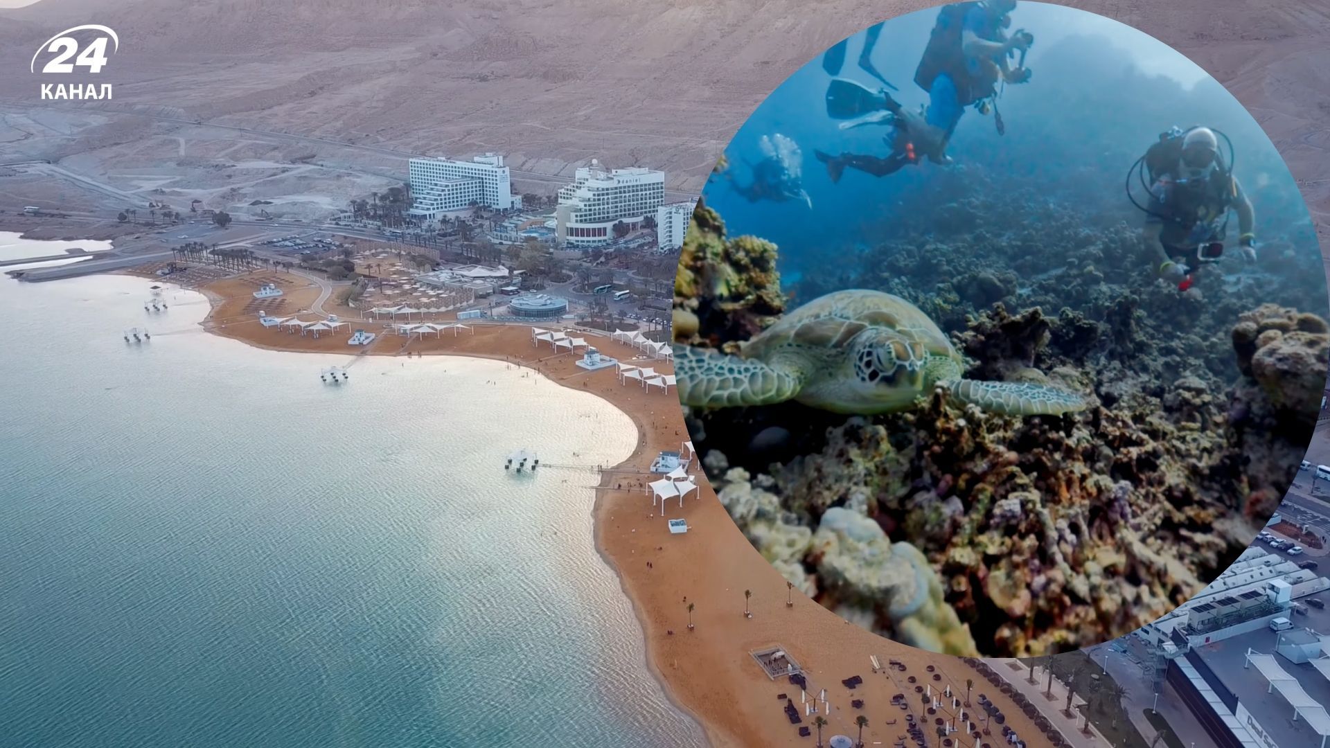 Чому Червоне море називають найтеплішим у світі і яка там температура води цілий рік