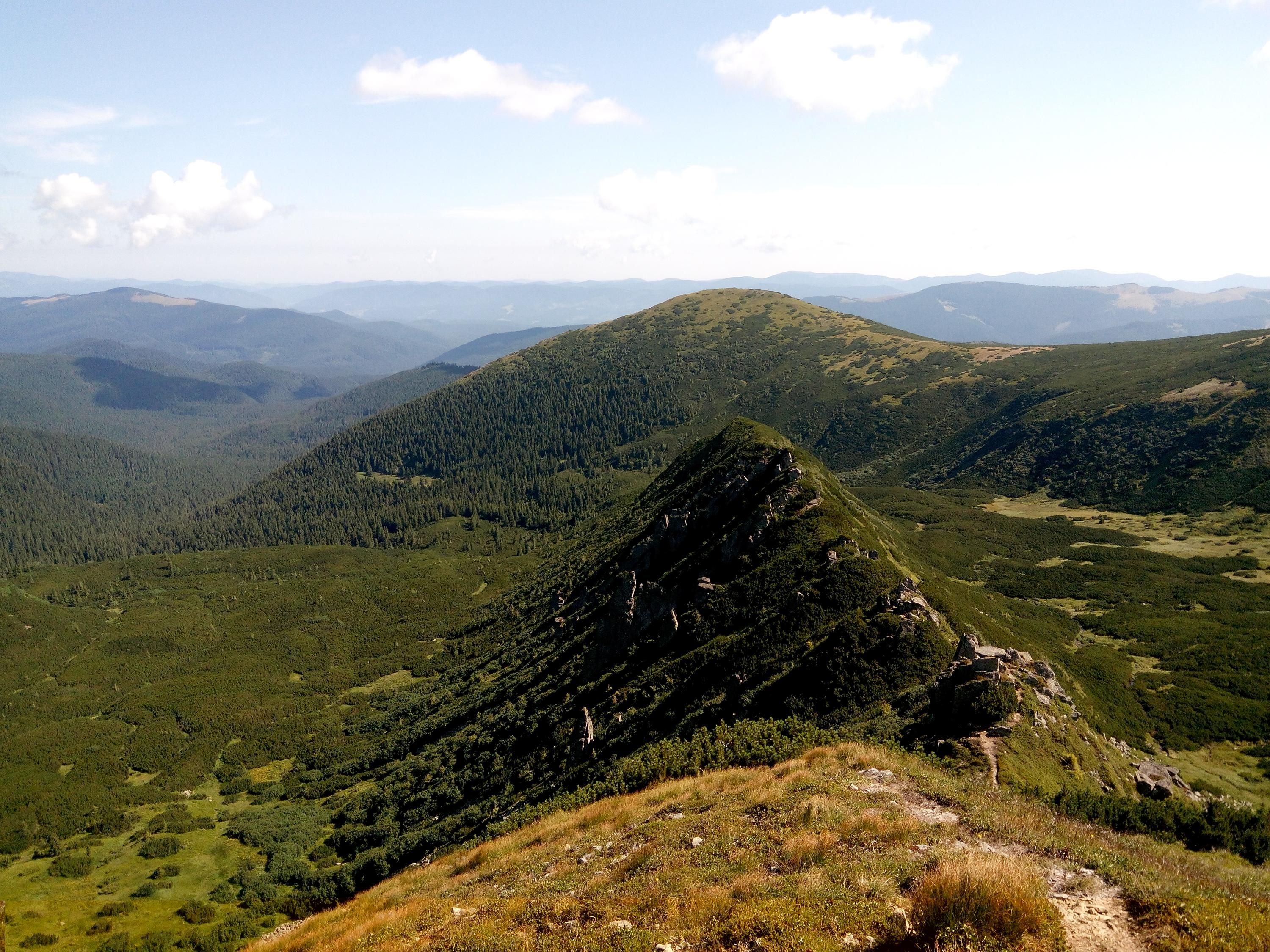 Великі Кізли