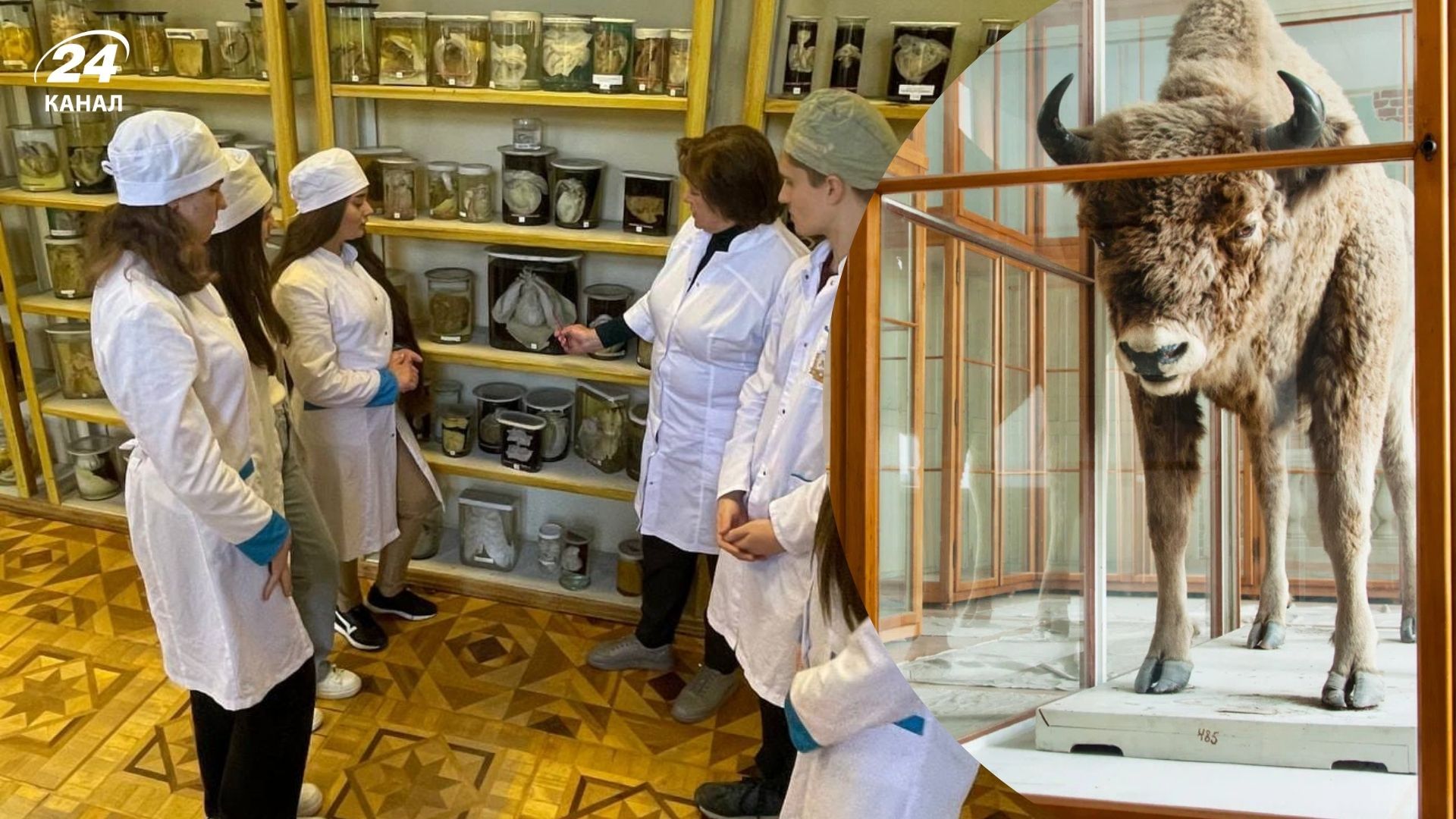 Необычные музеи Львова