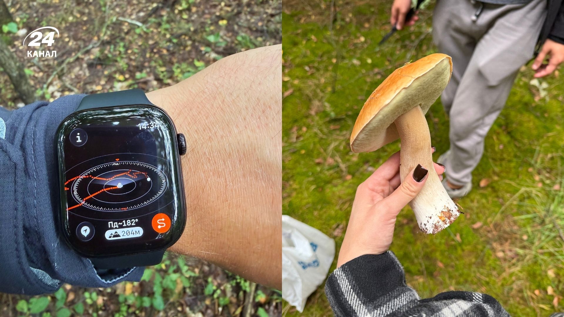 Як Apple Watch допоможуть знайти дорогу назад під час походу
