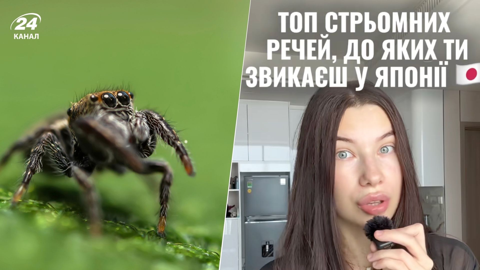 Українка розповіла про дивні речі, які налякали її у Японії - Travel