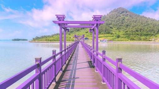 Ідеальна Instagram-локація: курортний острів в Кореї повністю пофарбували у фіолетовий колір 
