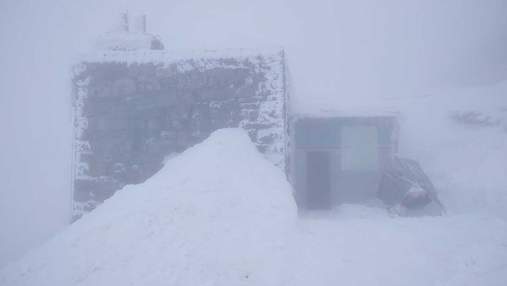 Зима не отступает: в Карпатах продолжает бушевать непогода – фото и відео